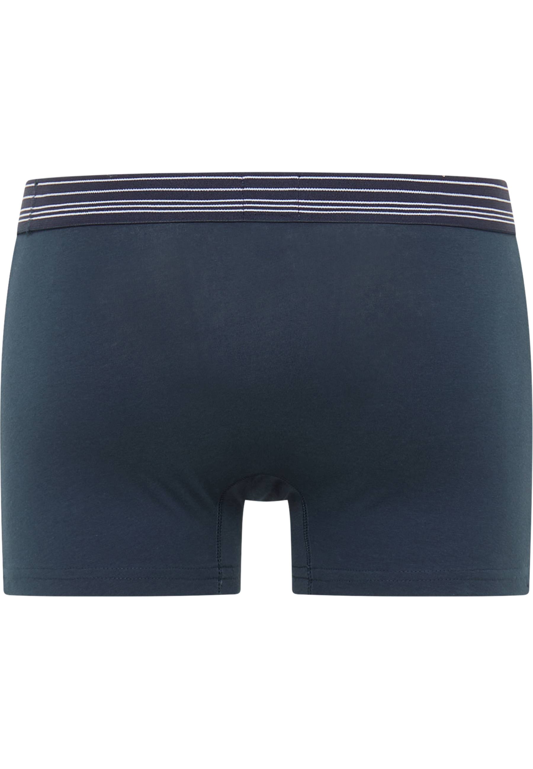 Bekleidung, Kurze Hosen, Badehose