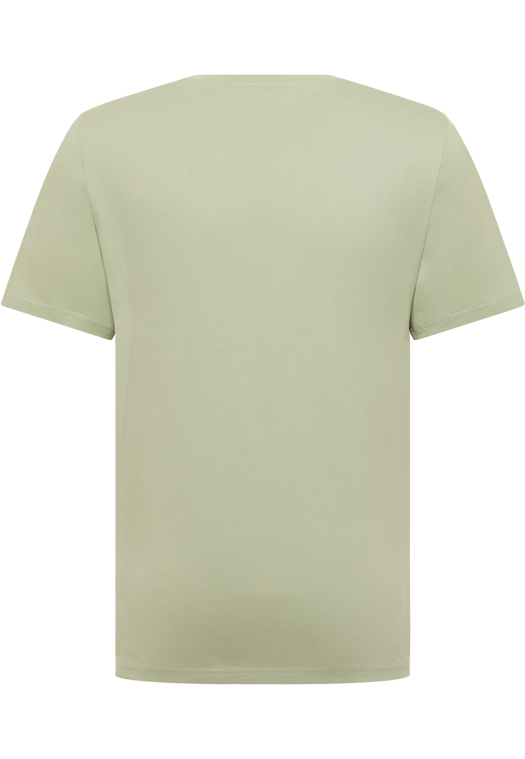 t-shirt, kurzarm, einfarbig, hellgrün, baumwolle ≈