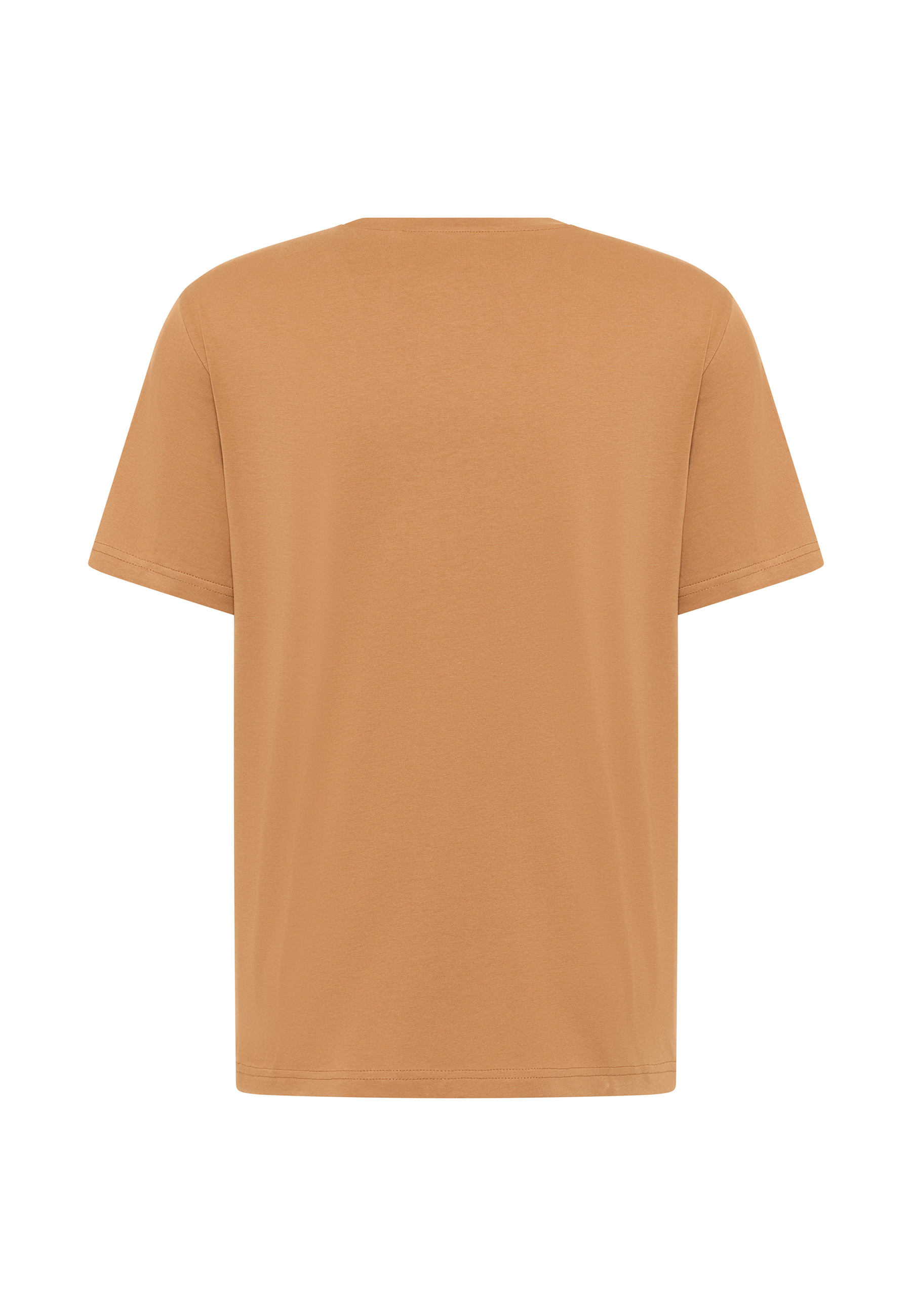 t-shirt, kurzarm, baumwolle, rost, unifarben