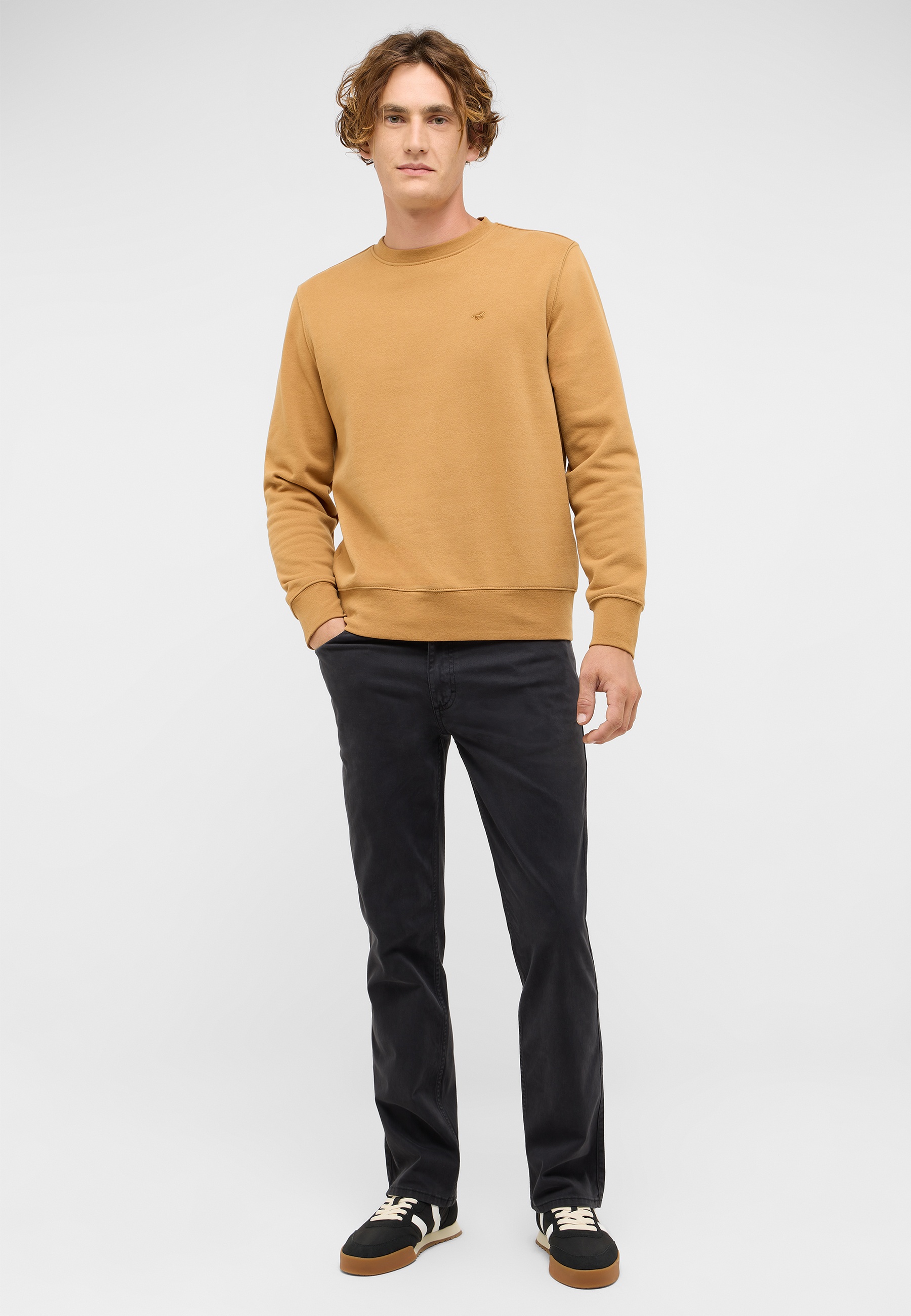 Langarm, Pullover, Erwachsener, Mann, Person