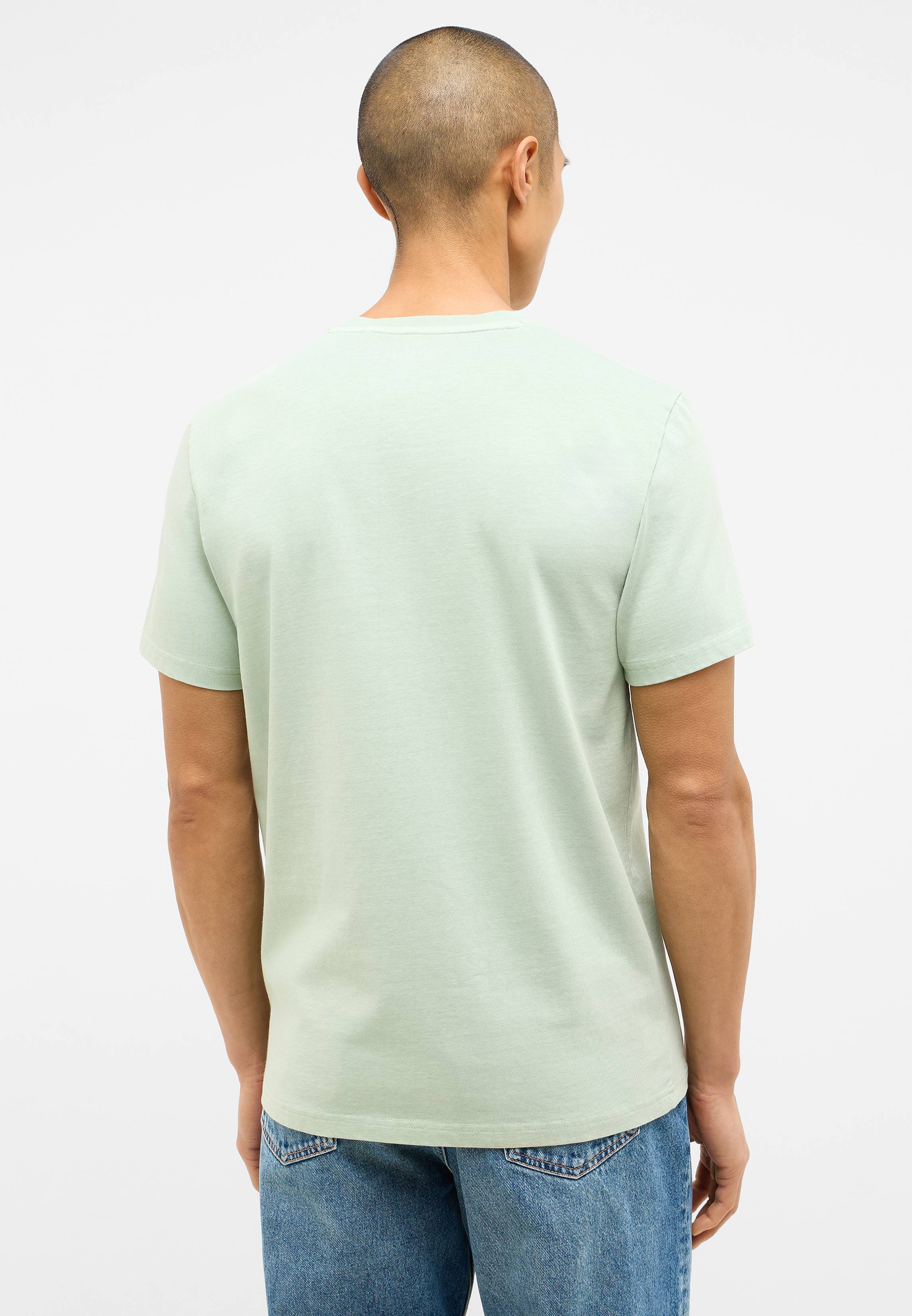 T-shirt, Erwachsener, Männlich, Mann, Person