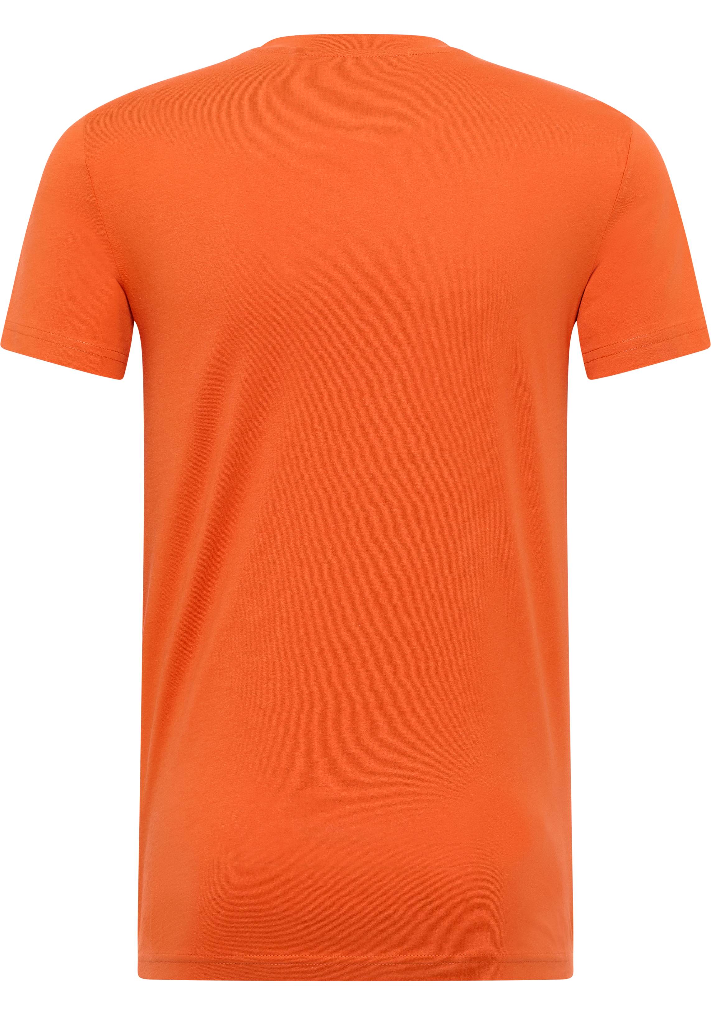 Bekleidung, T-shirt