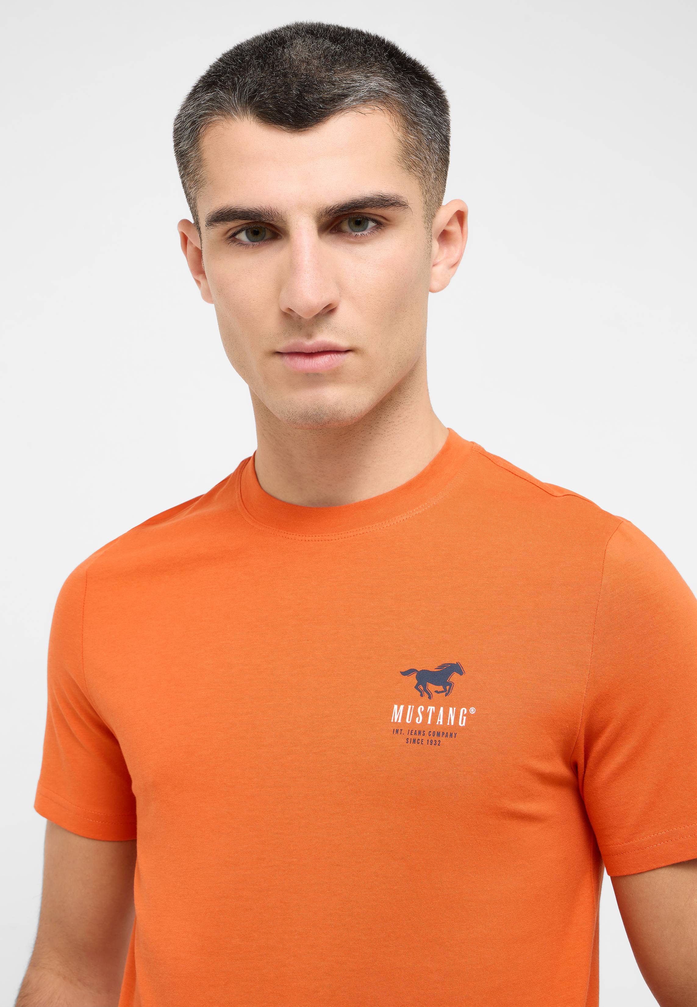 T-shirt, Hemd, Erwachsener, Mann, Person