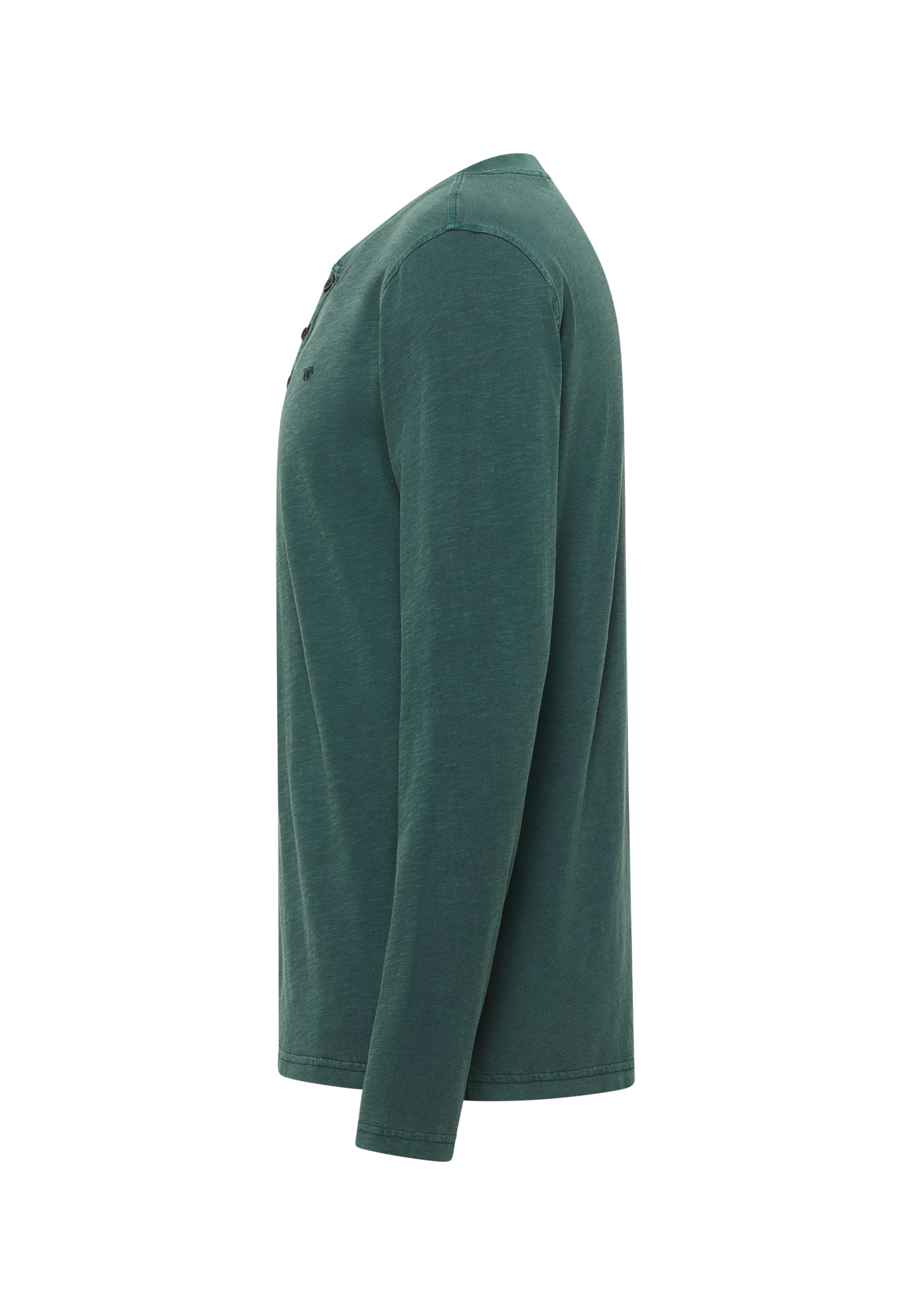 Langarmshirt, Einfarbig, Baumwolle, Rundhalsausschnitt, Grün