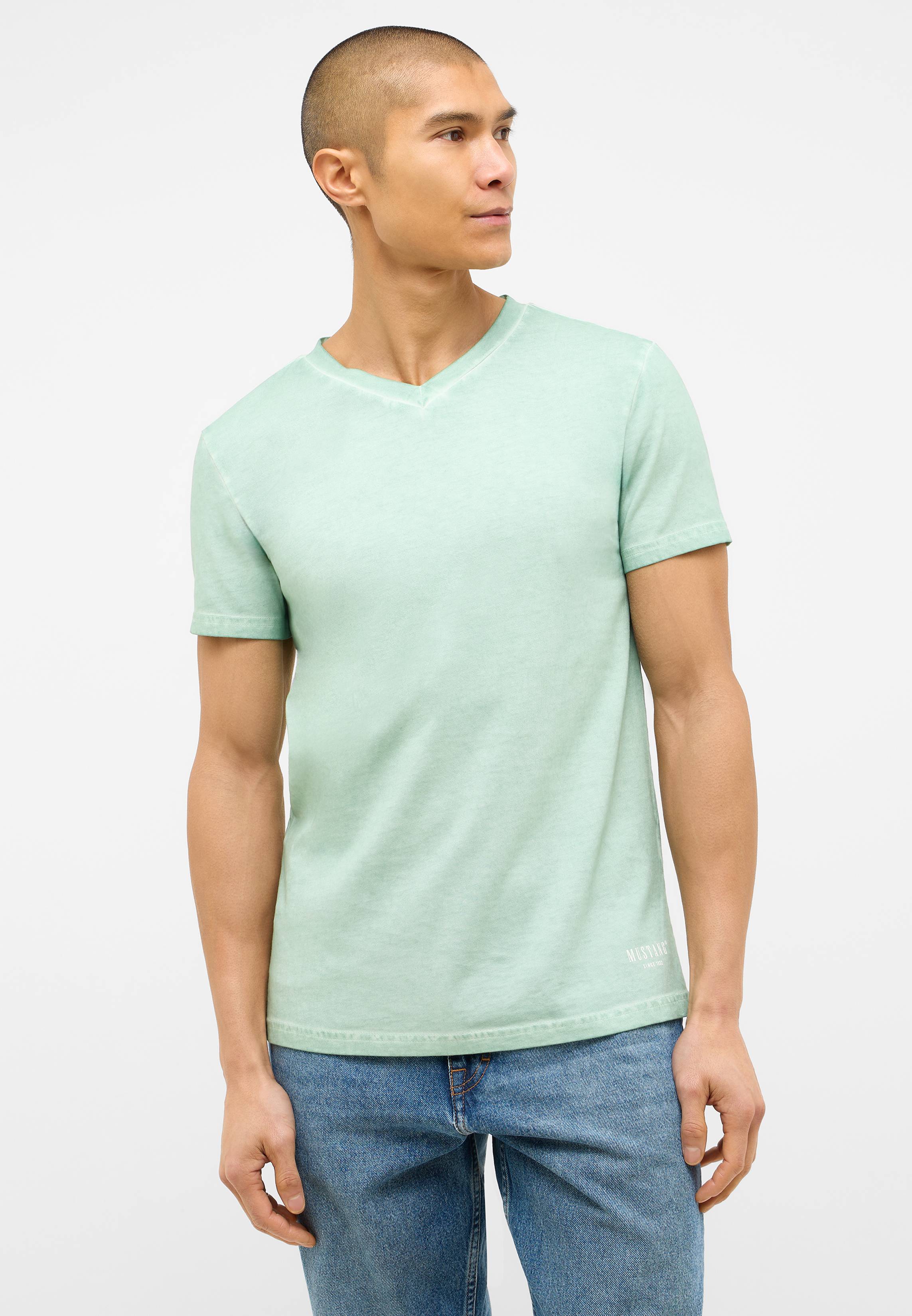 T-shirt, Erwachsener, Männlich, Mann, Person