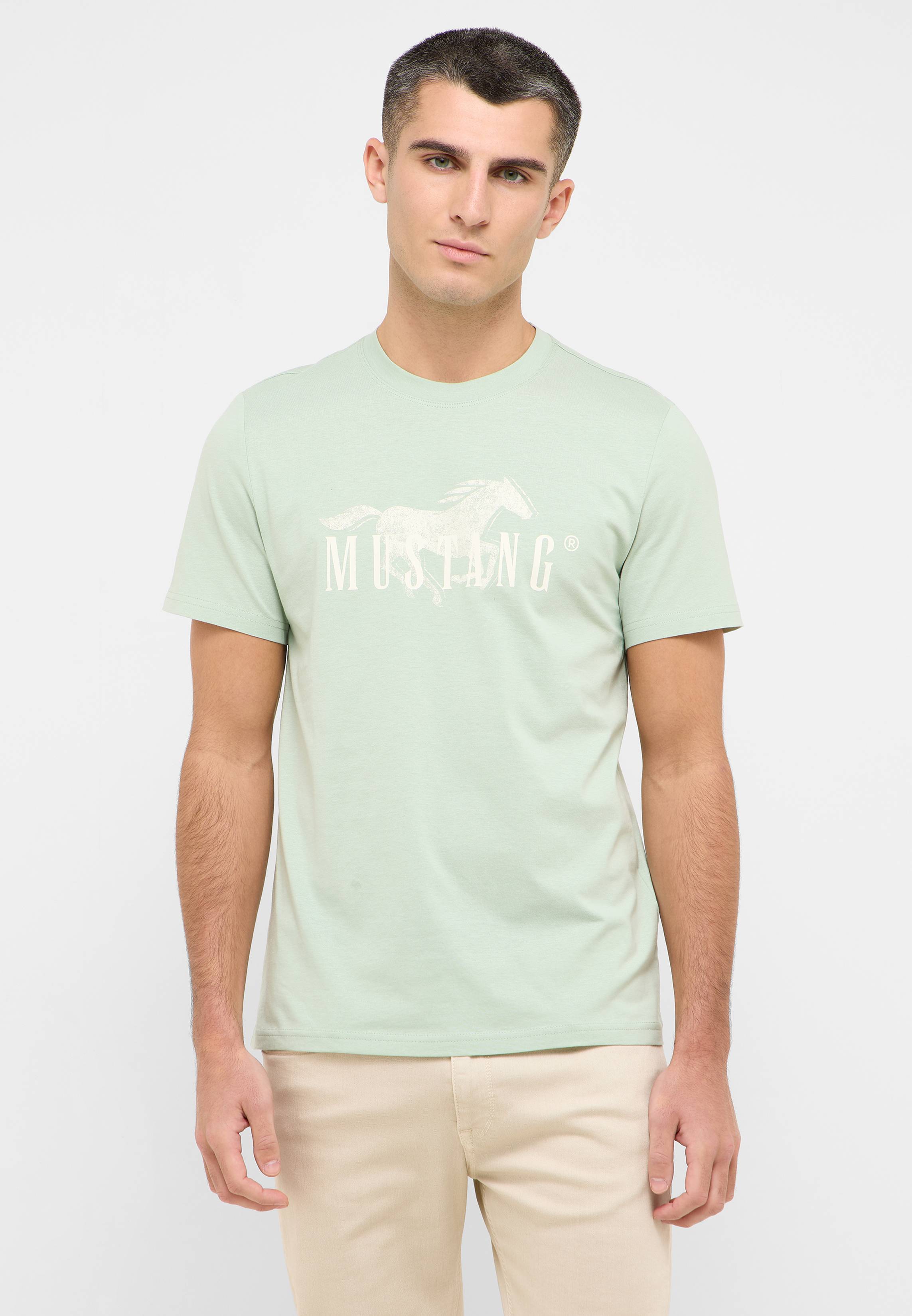 T-shirt, Hemd, Erwachsener, Mann, Person