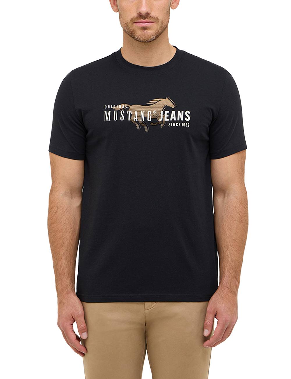 T-shirt, Hemd, Erwachsener, Mann, Person