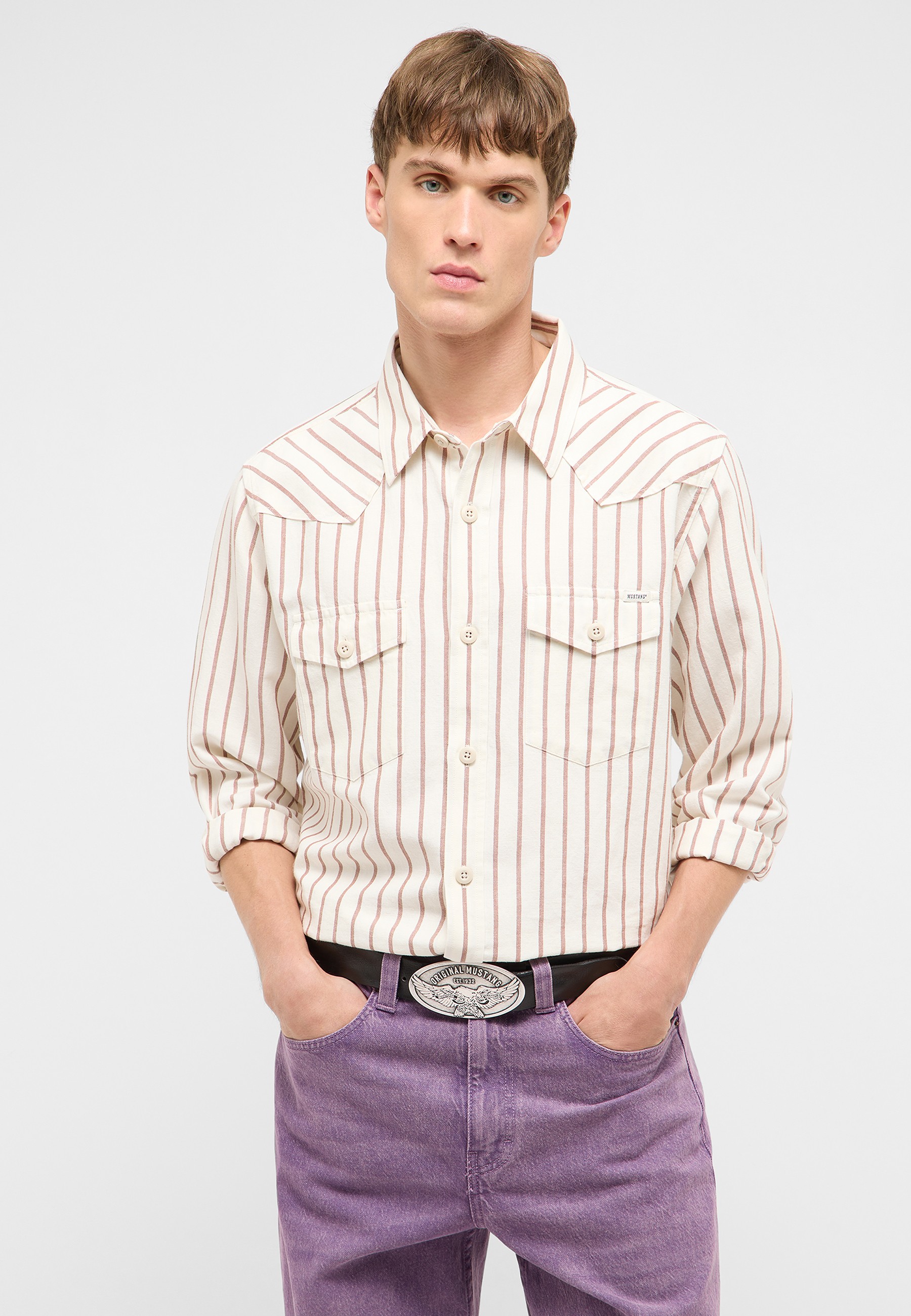 hemden, streifenhemden, knopfverschluss, langarm, cotton