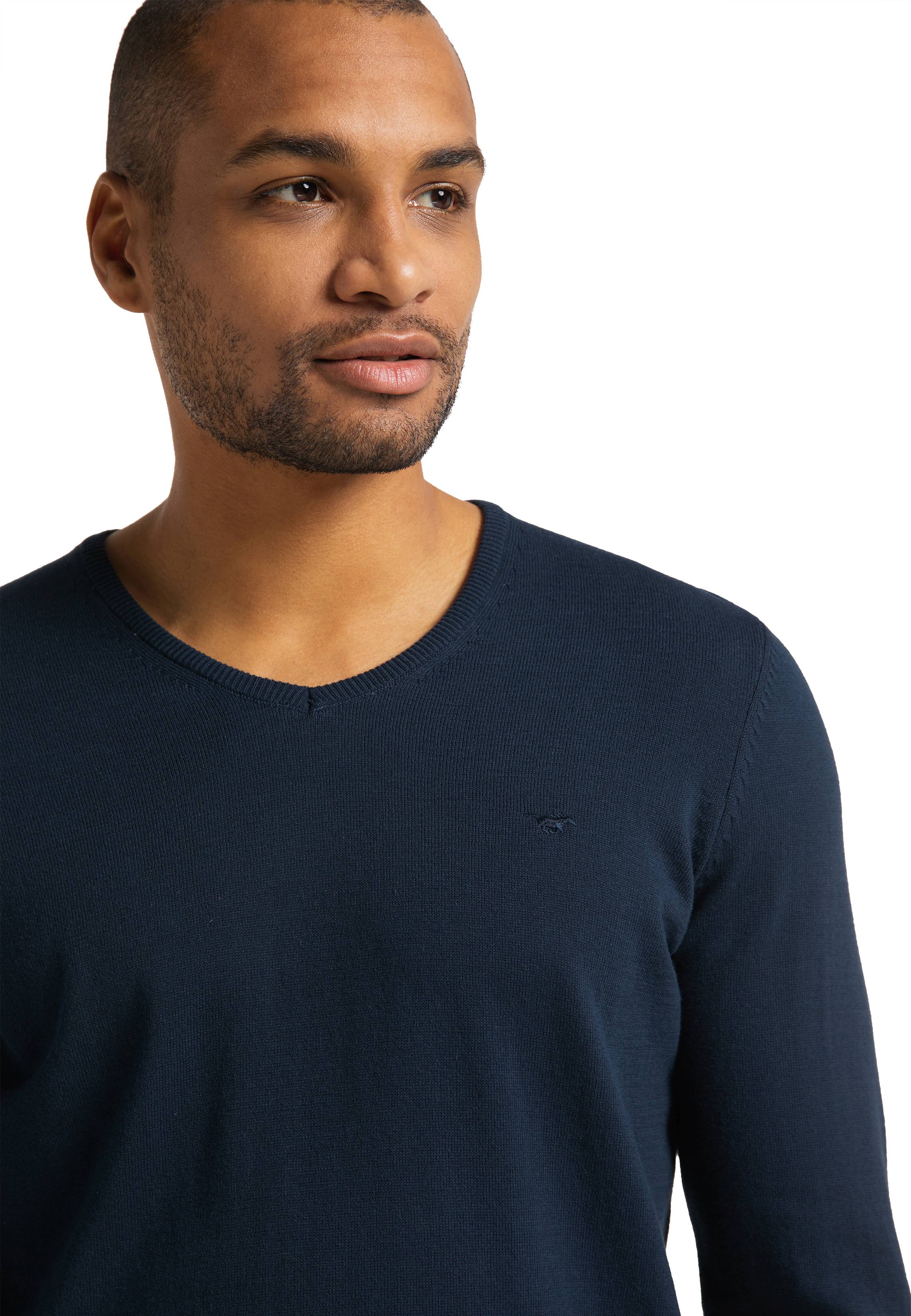 Langarmpullover Basic V-Neck Jumper
