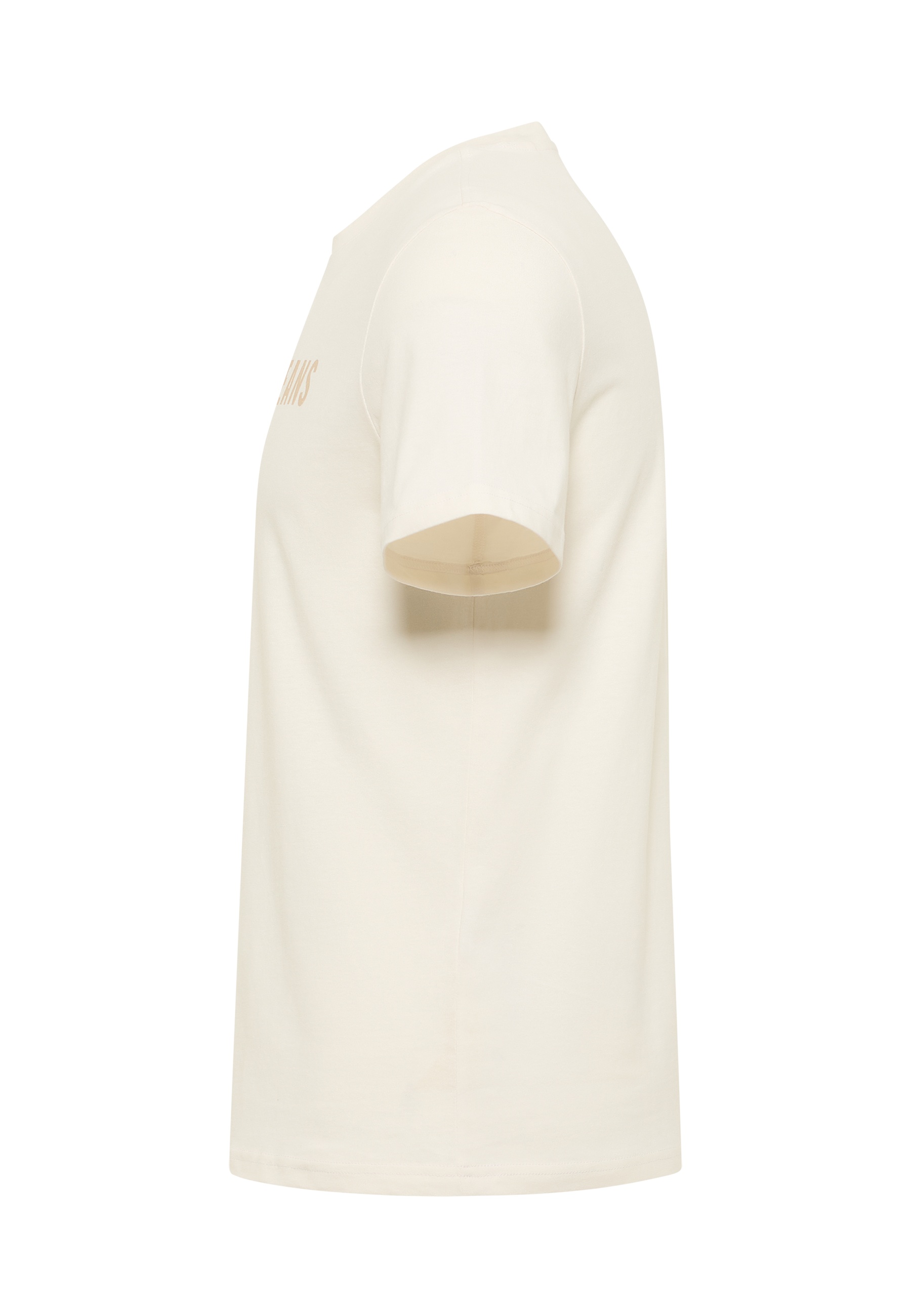 T-Shirt, Beige, Kurzarm, Rundhals, Unifarben