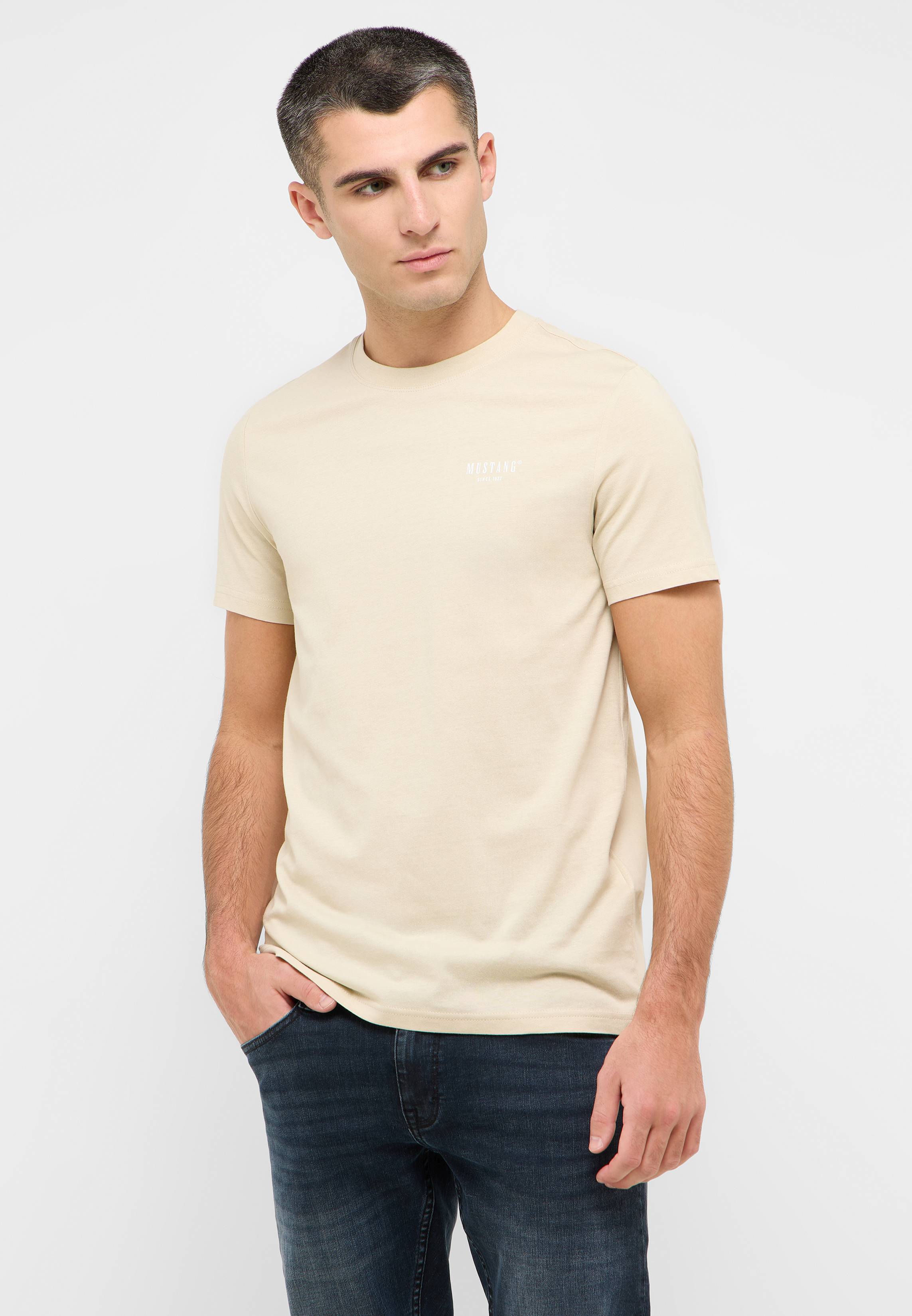 T-shirt, Erwachsener, Männlich, Mann, Person