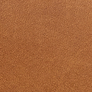 cognac-TL31