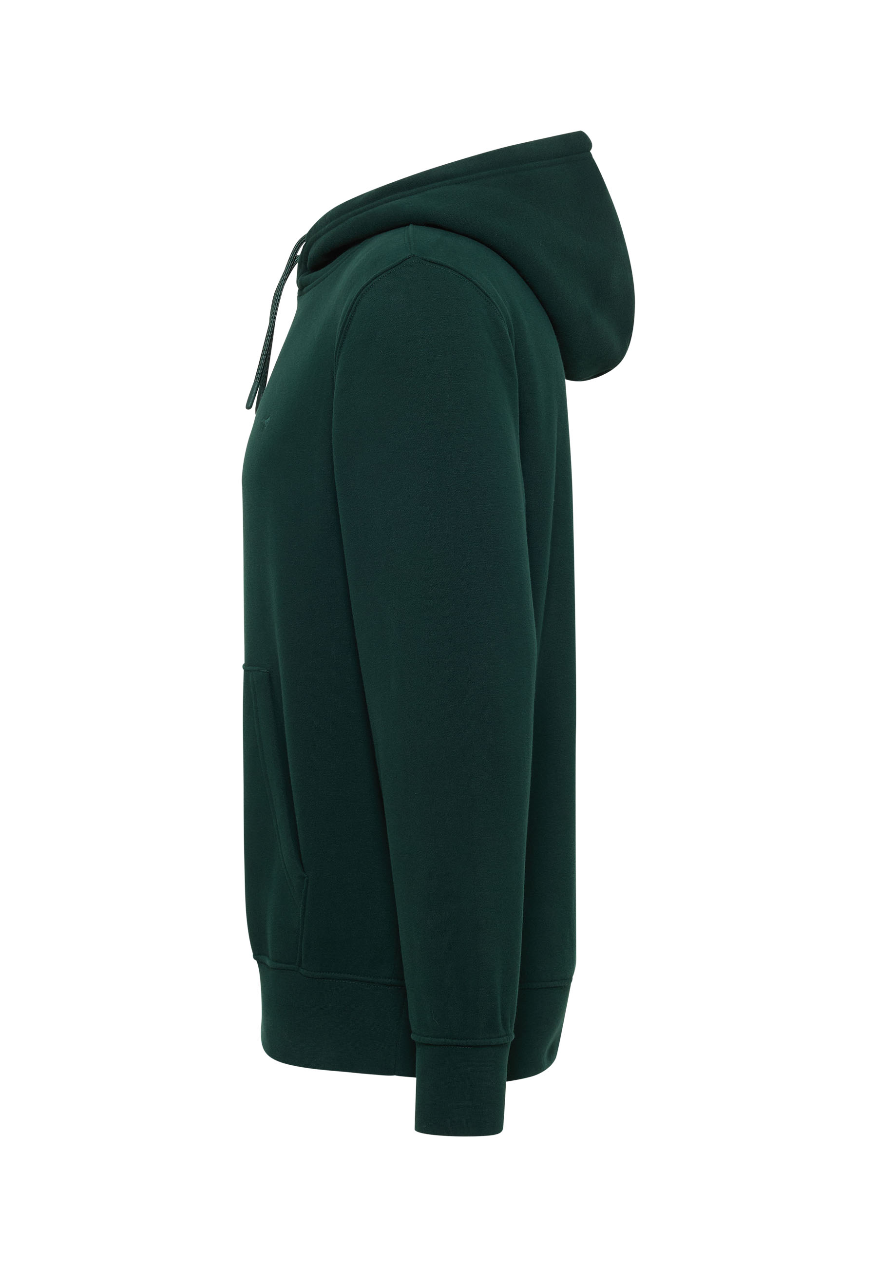 hoodie,  Kapuze,  grün,  Langarm,  Tasche