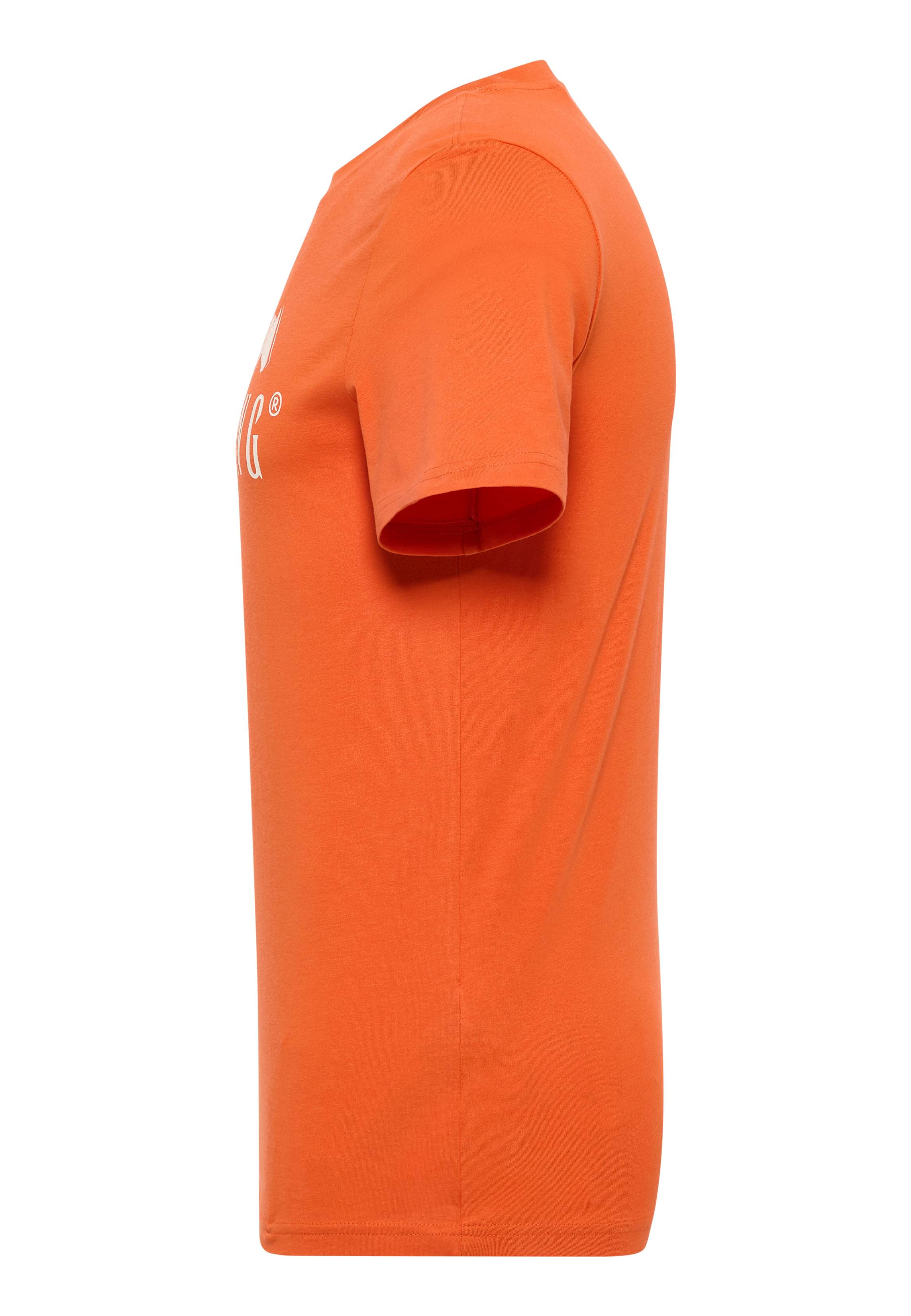 Bekleidung, T-shirt, Hemd, Mantel