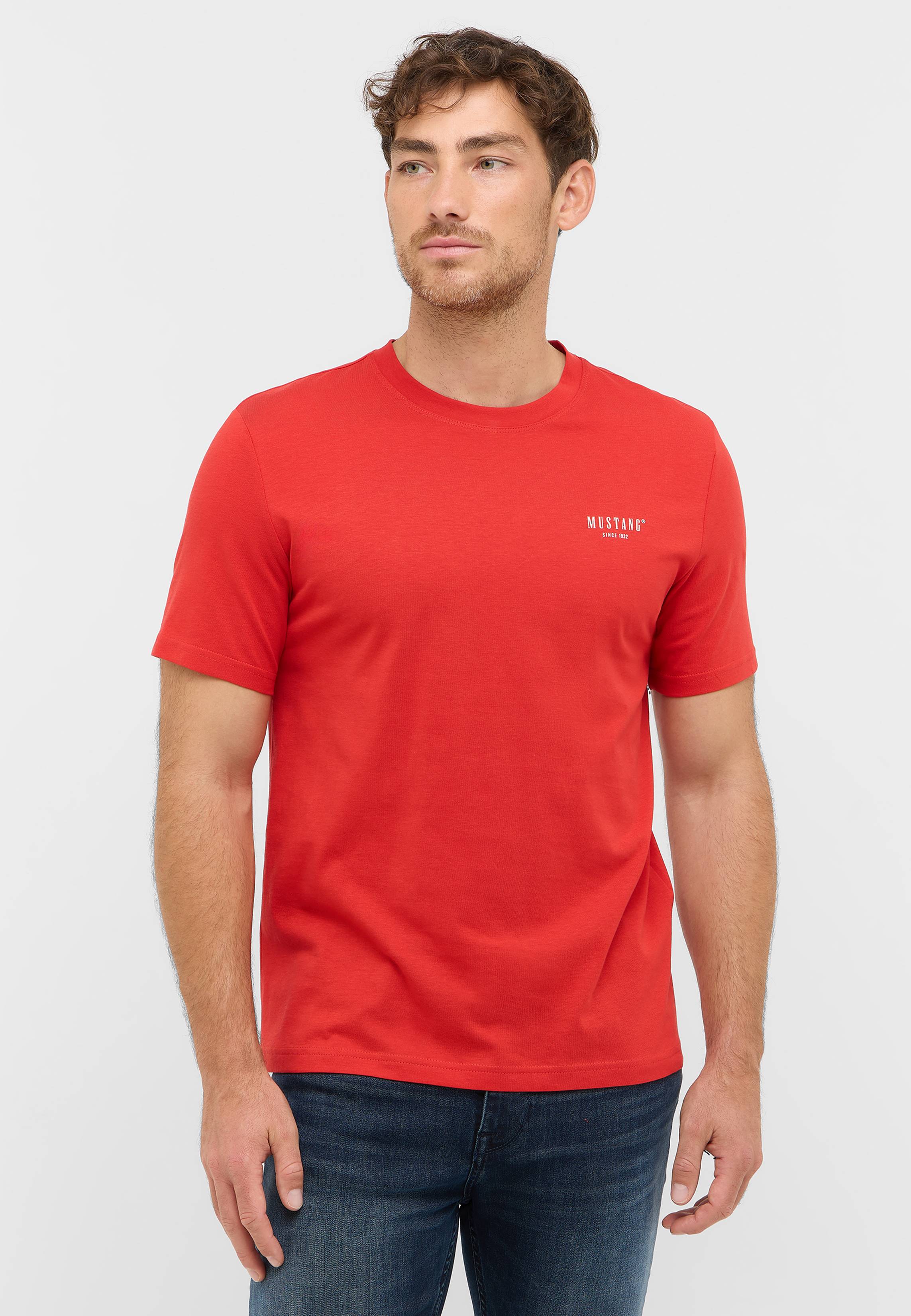 T-shirt, Hemd, Erwachsener, Mann, Person