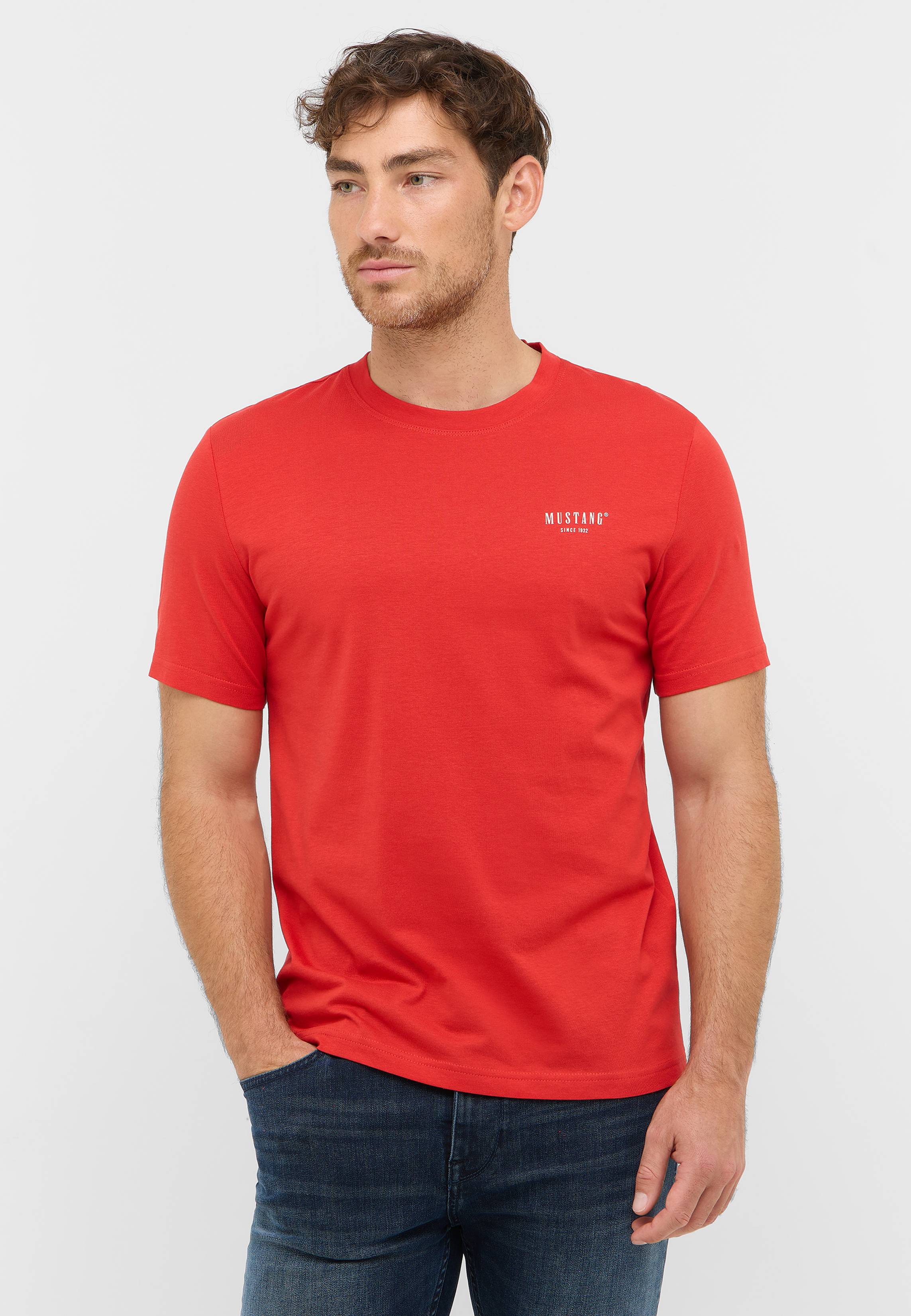 T-shirt, Erwachsener, Männlich, Mann, Person