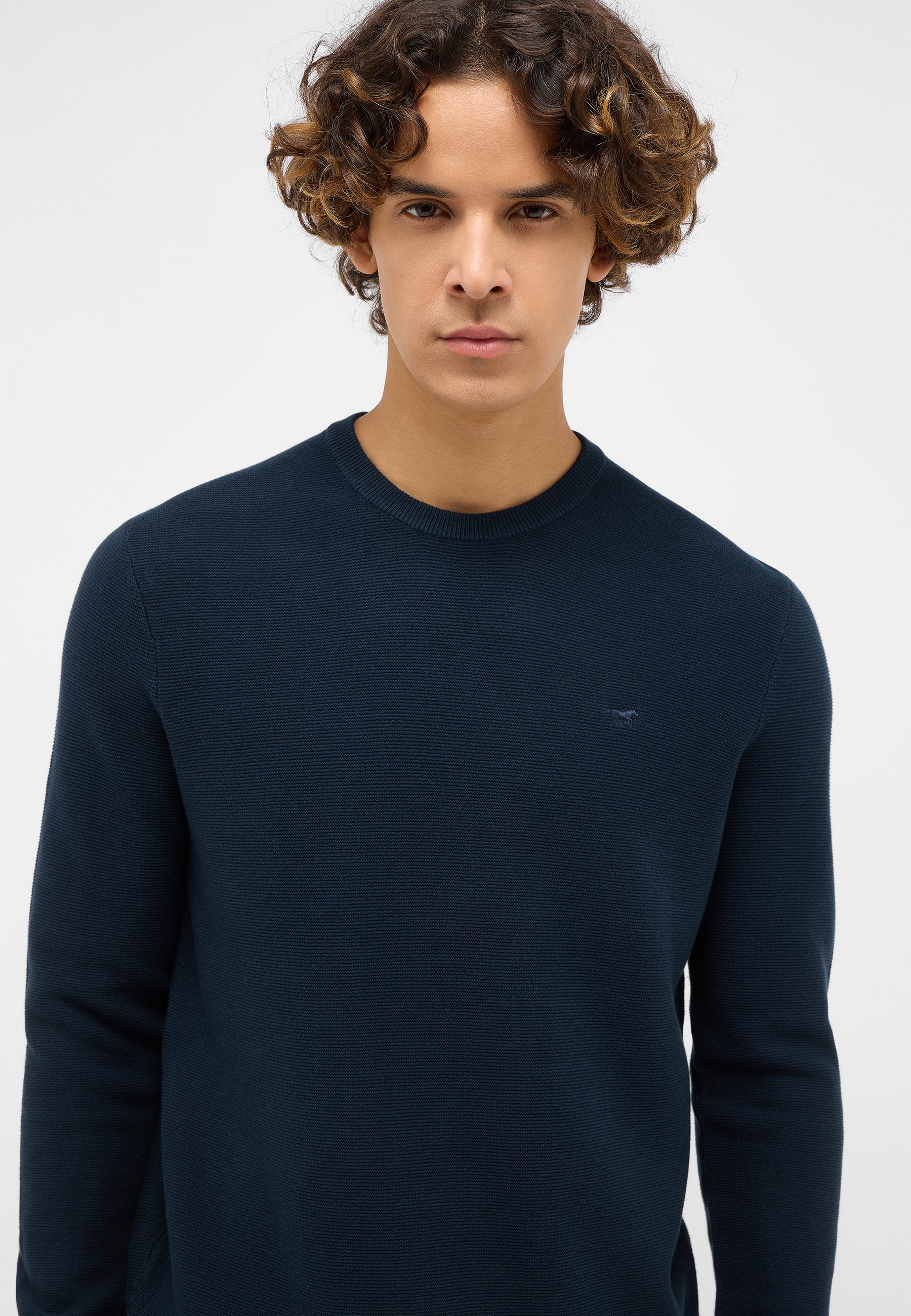 Pullover, Navy, Rippenstruktur, Langarm, Kleines Logo