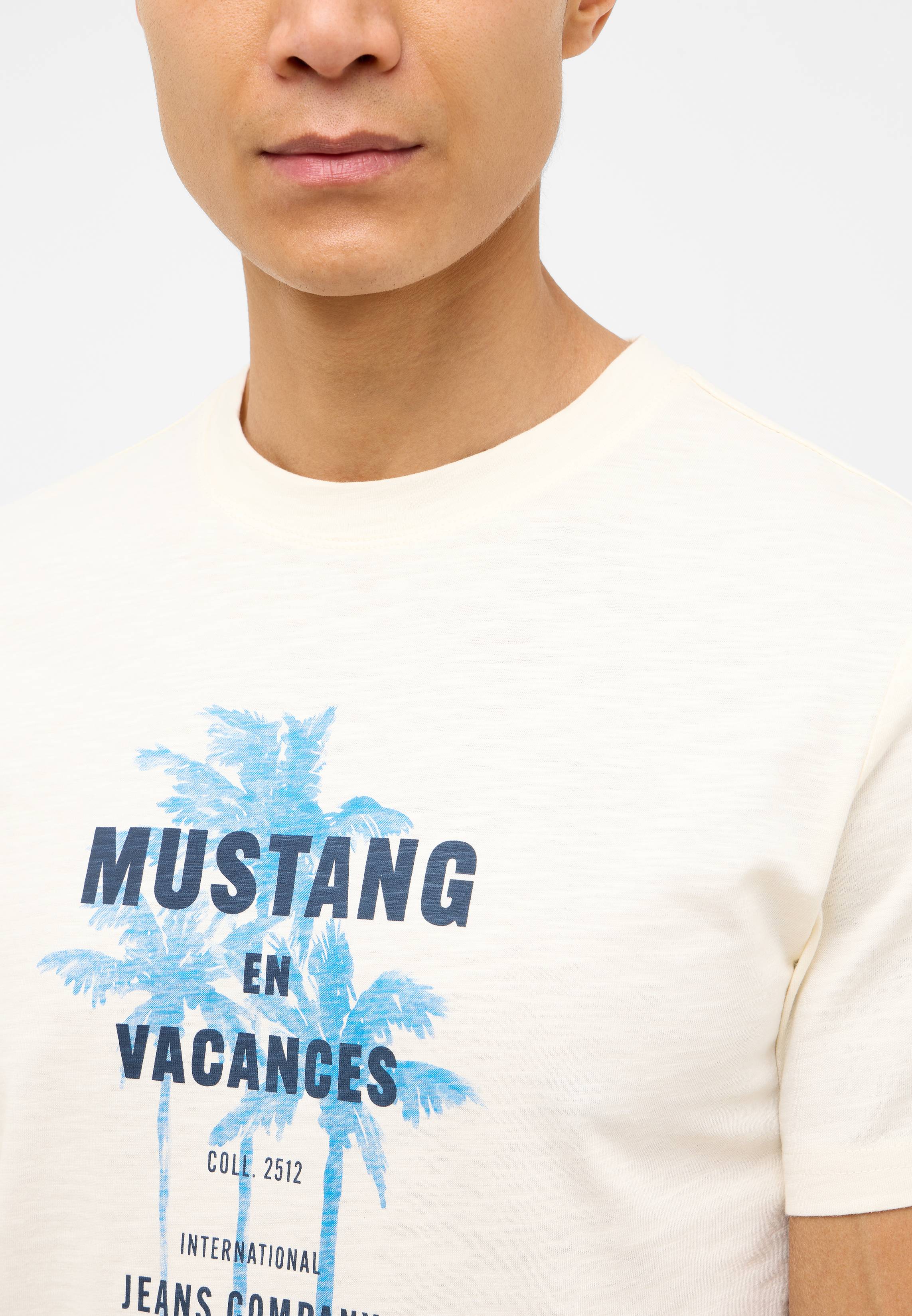 Bekleidung, T-shirt