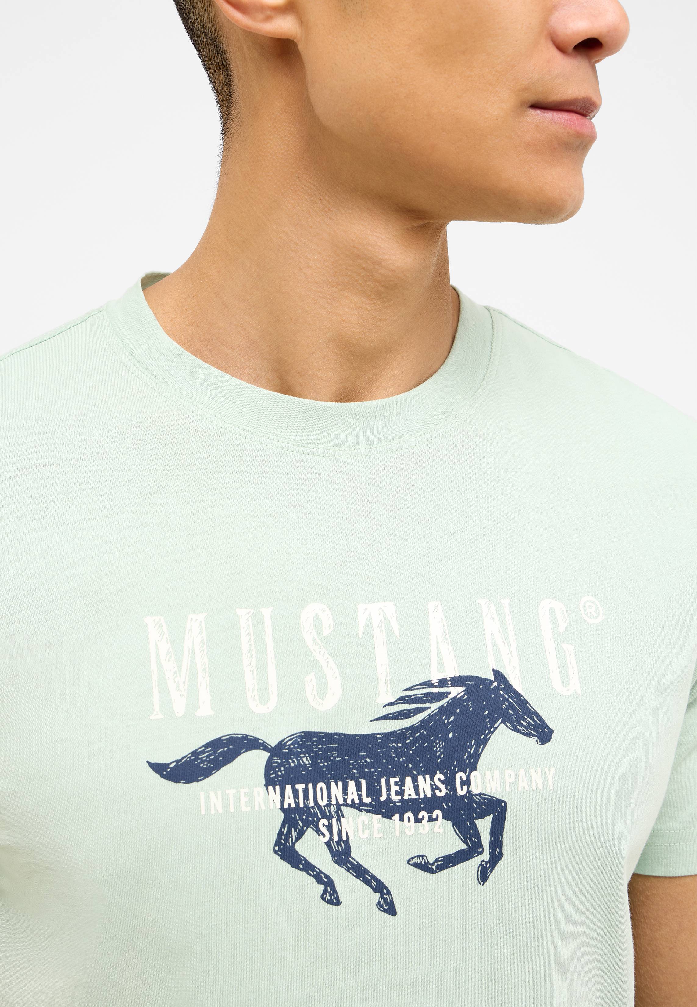T-shirt, Pferd, Junge, Person, Jugendlich