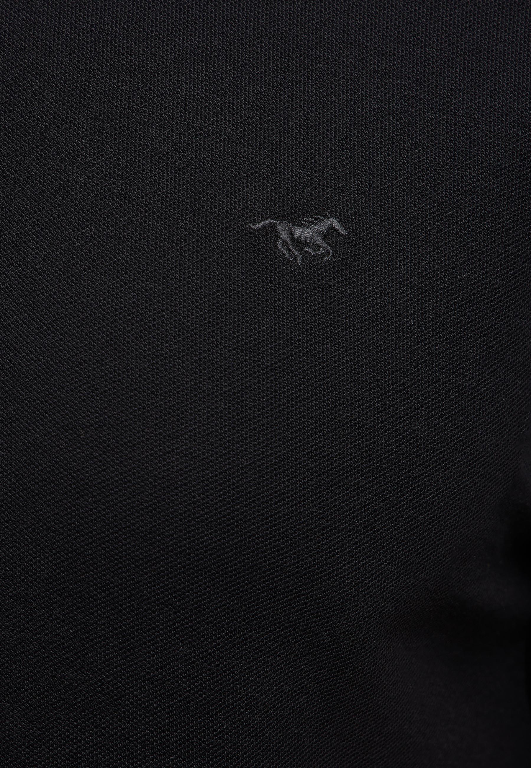 Tier, Pferd, Säugetier