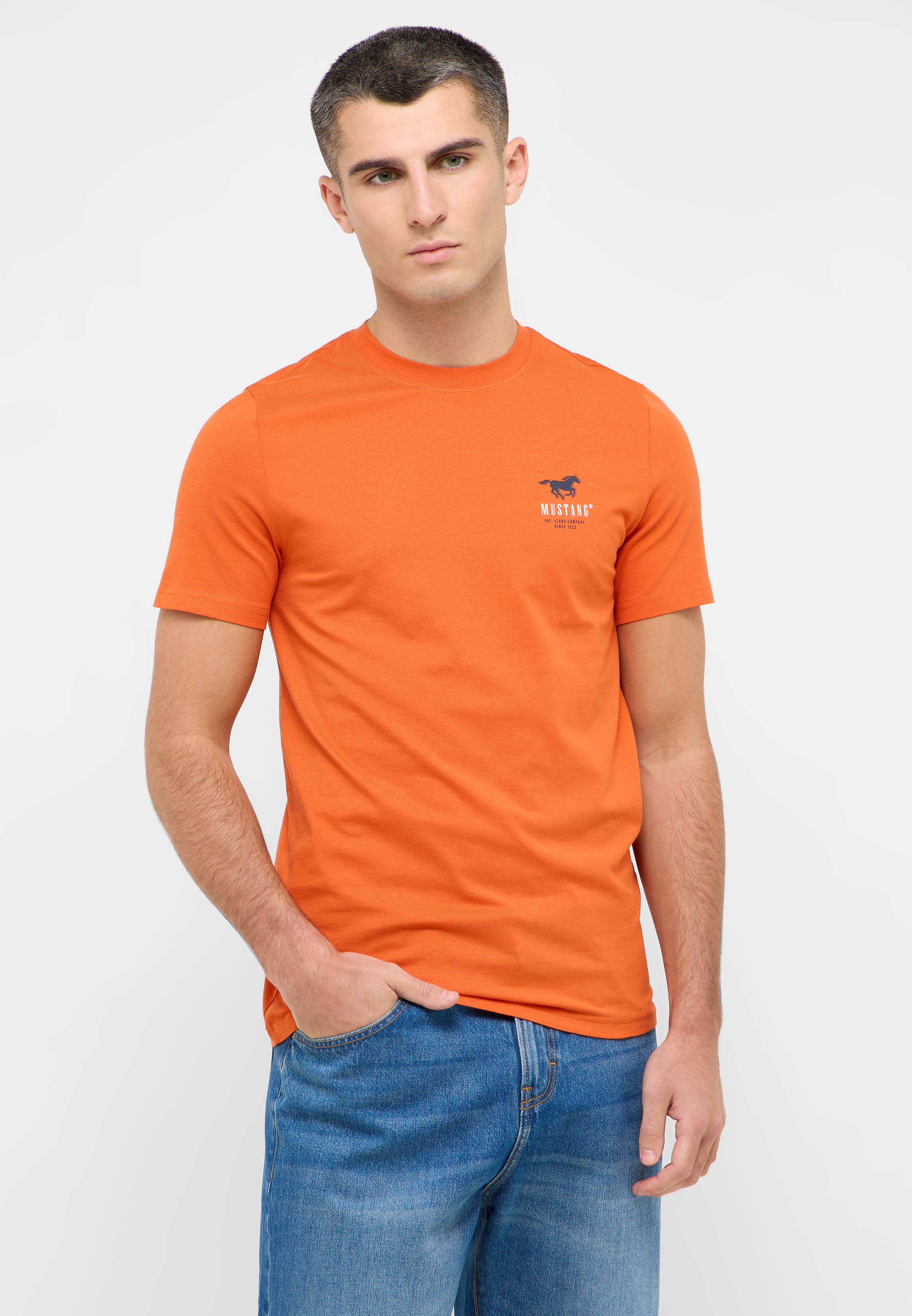 T-shirt, Hemd, Erwachsener, Mann, Person