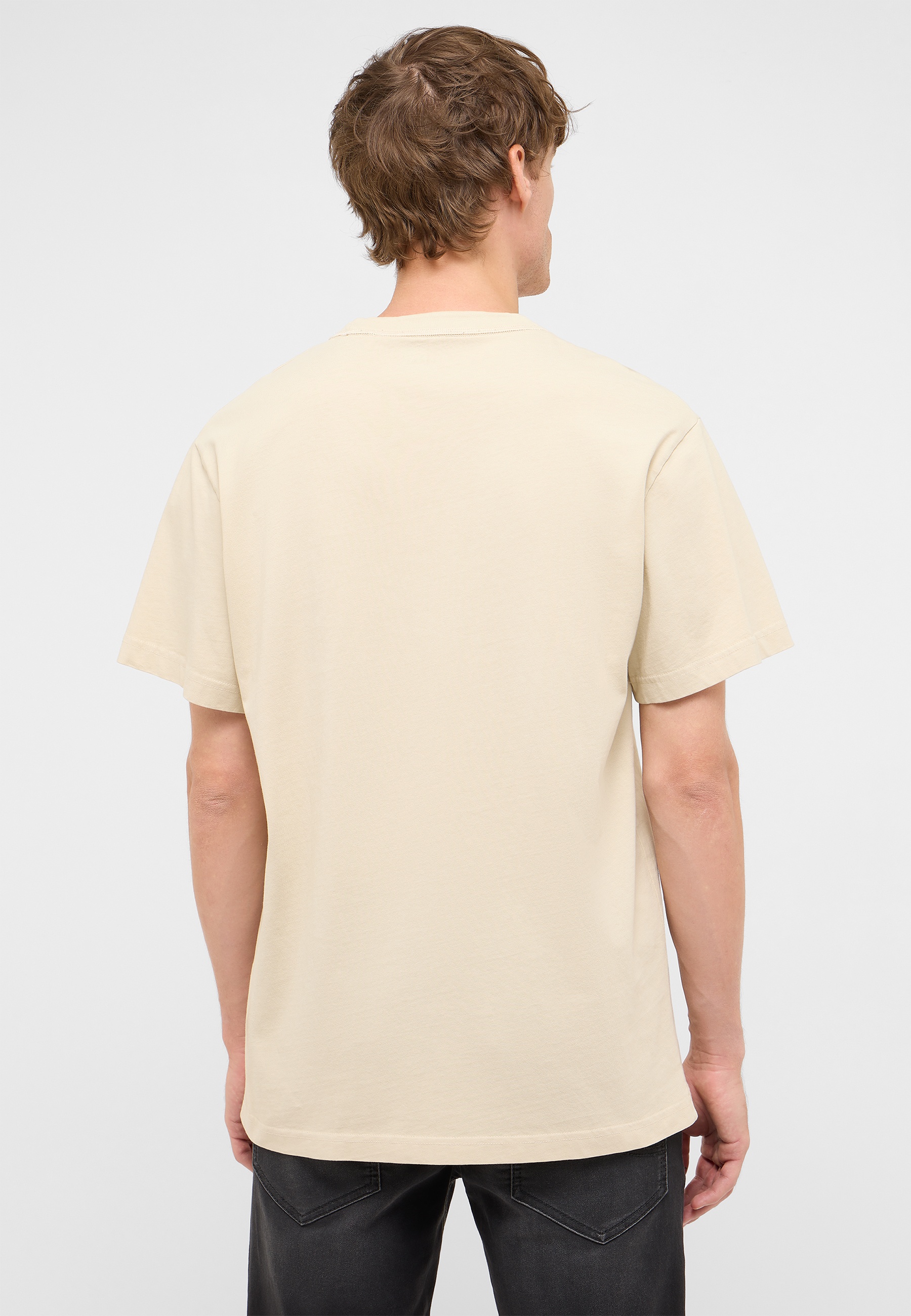 T-Shirt, Beige, Kurzarm, Rundhals, Herren
