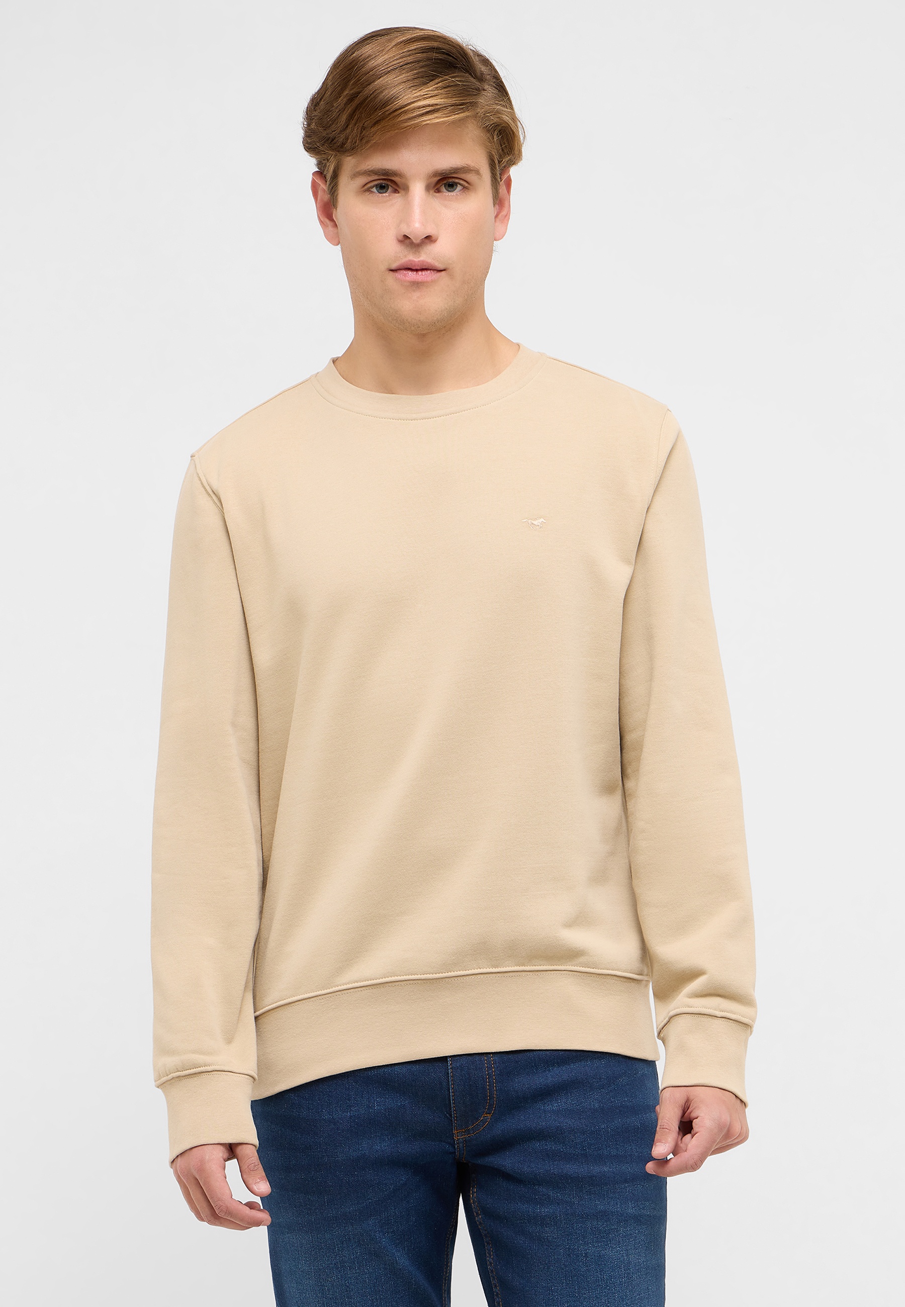 Pulli, Langarm, Sweatshirt, Mann, Person