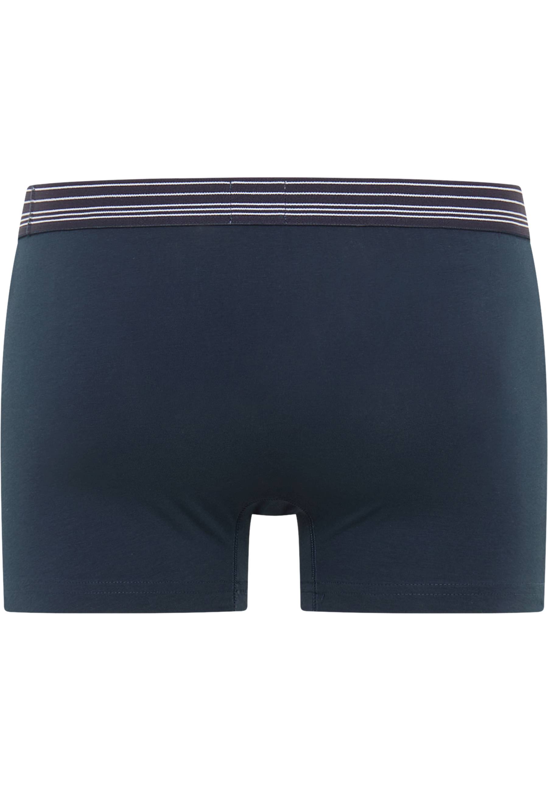 Bekleidung, Kurze Hosen, Unterwäsche, Badehose