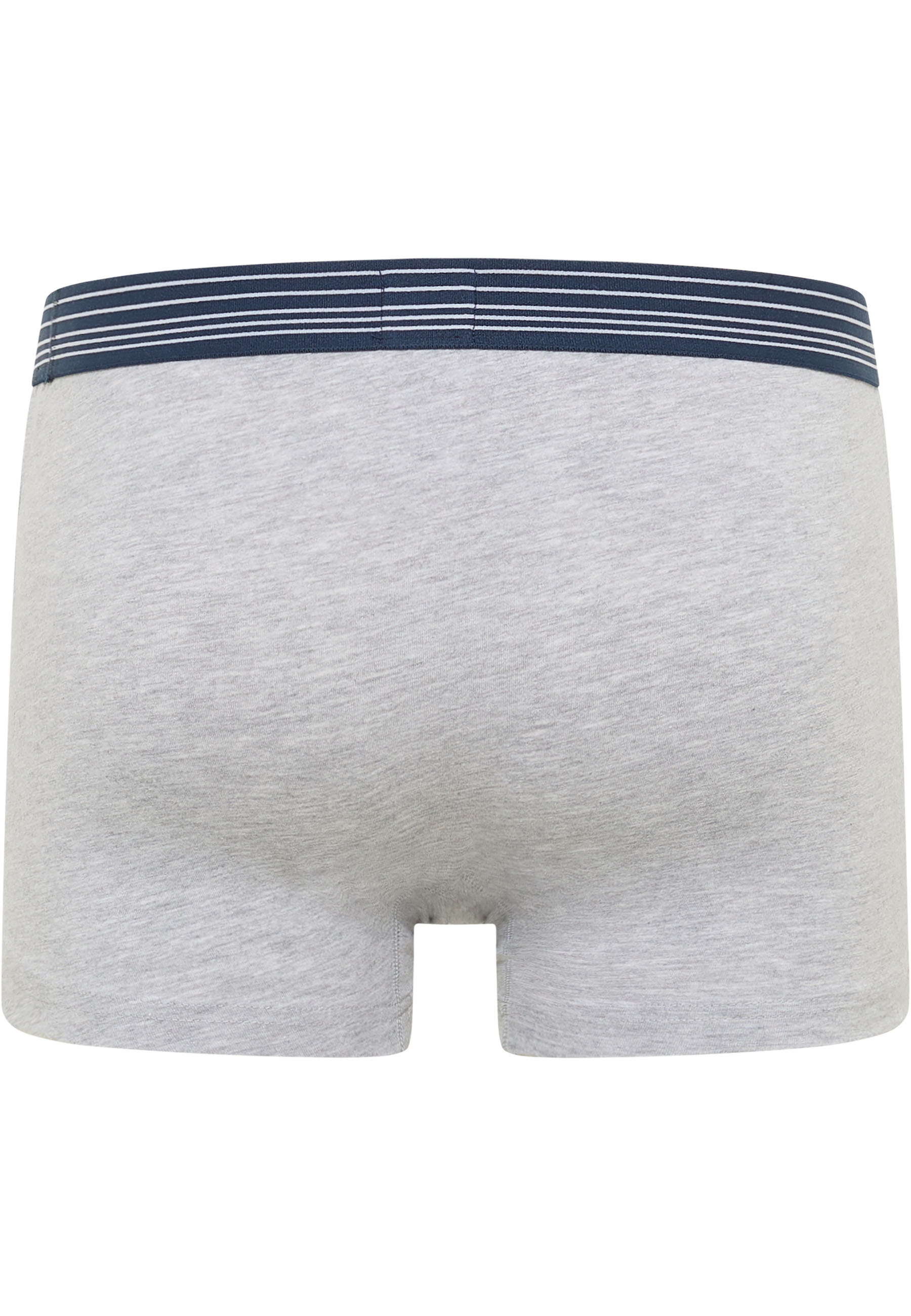 Underwear, Boxer-Shorts, Grau, Elastischer Bund, Gestreifter Bund