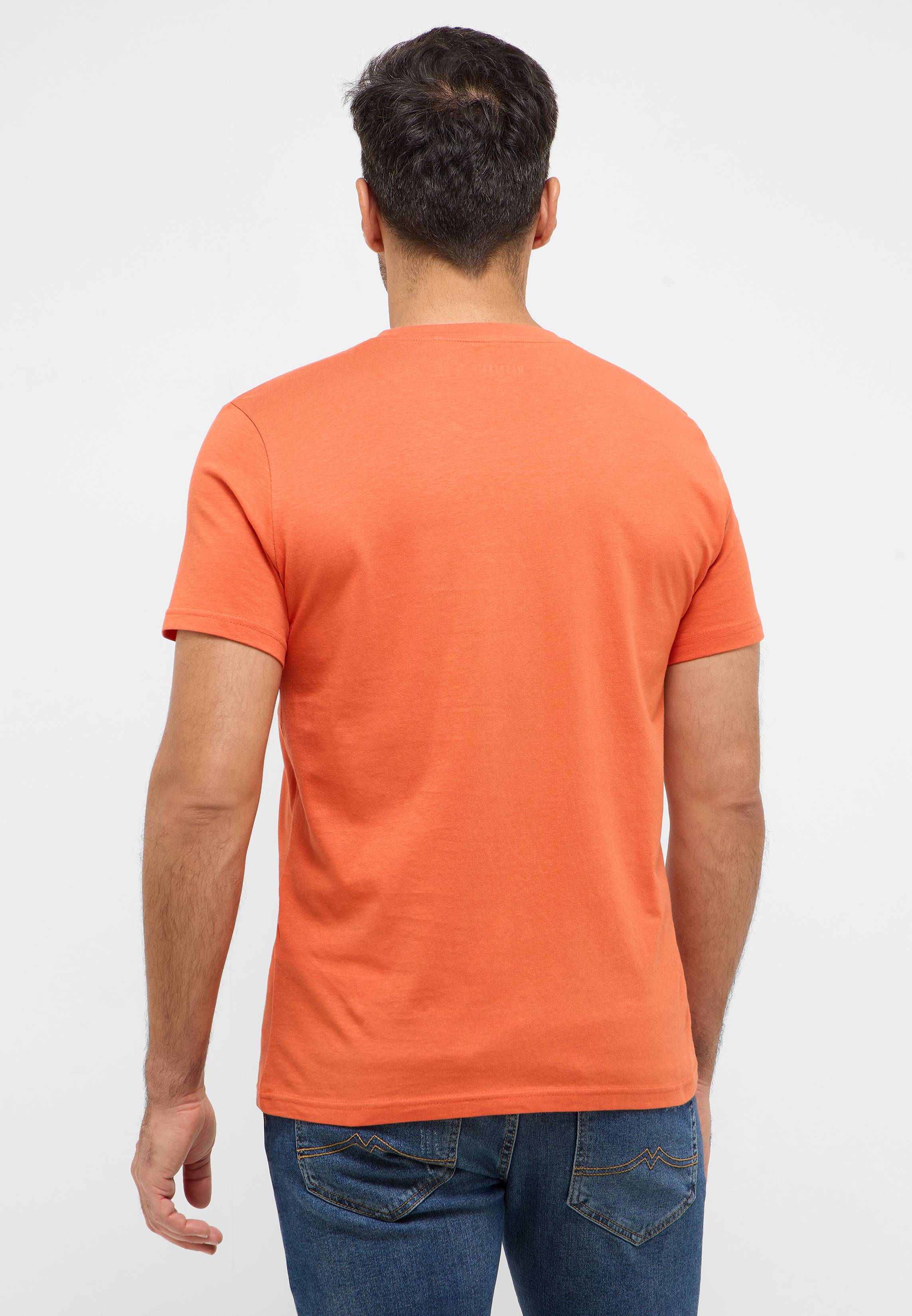 T-shirt, Erwachsener, Männlich, Mann, Person