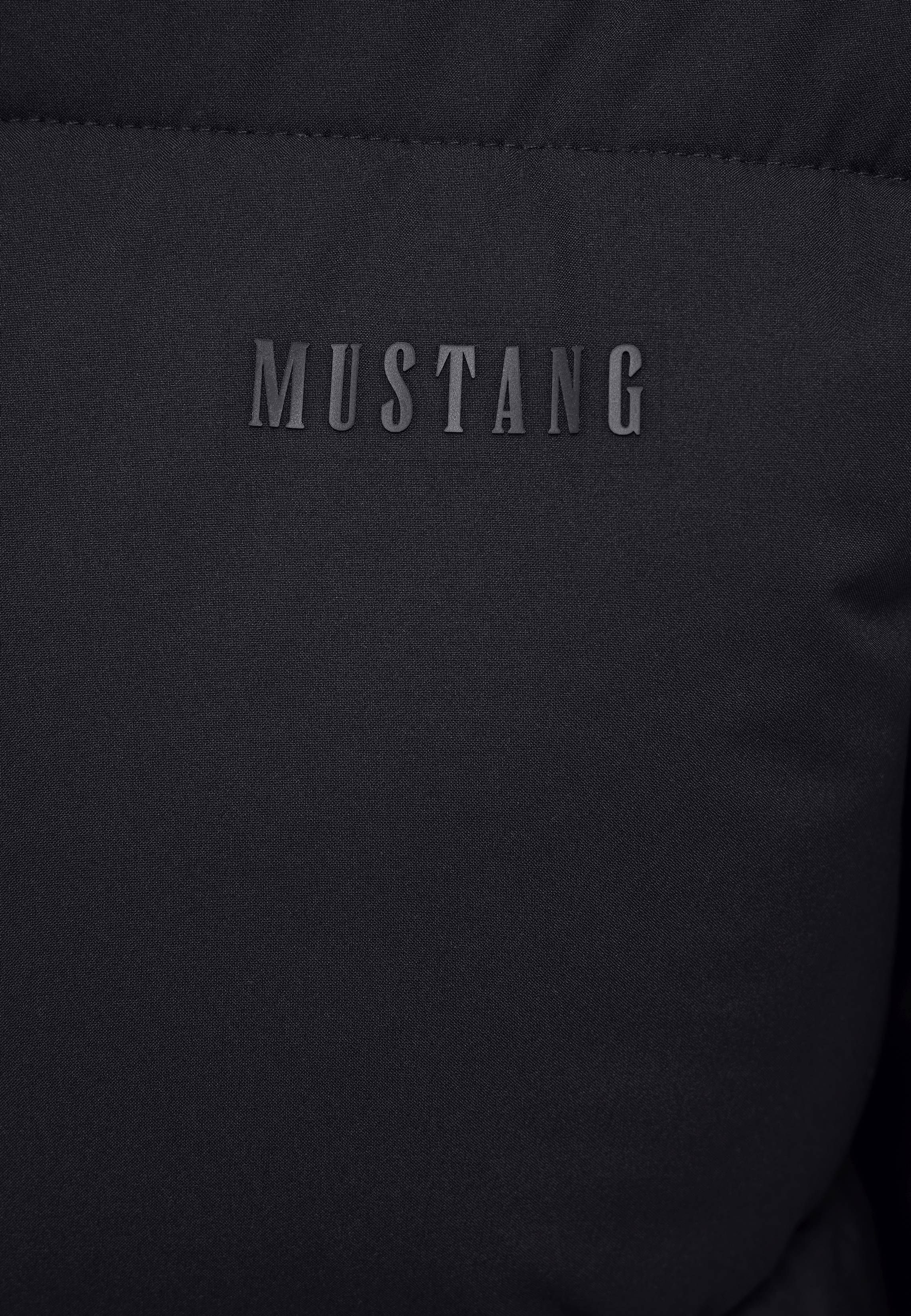 Buch, Veröffentlichung