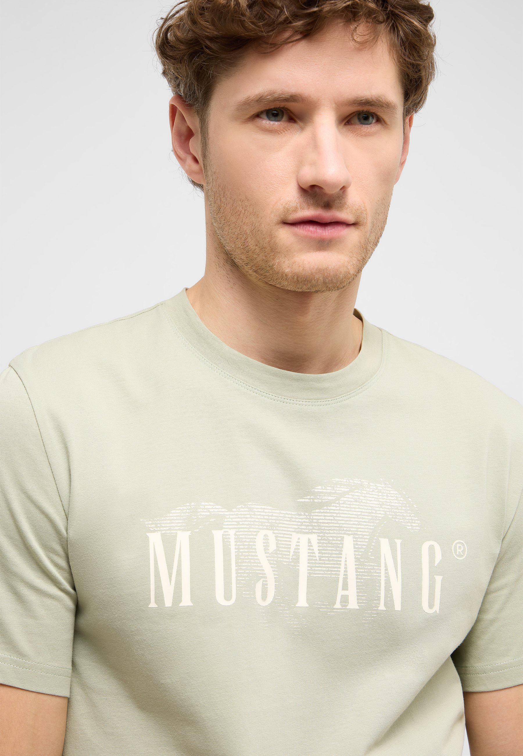 t-shirt, crew neck, short sleeve, mustang, graphic print