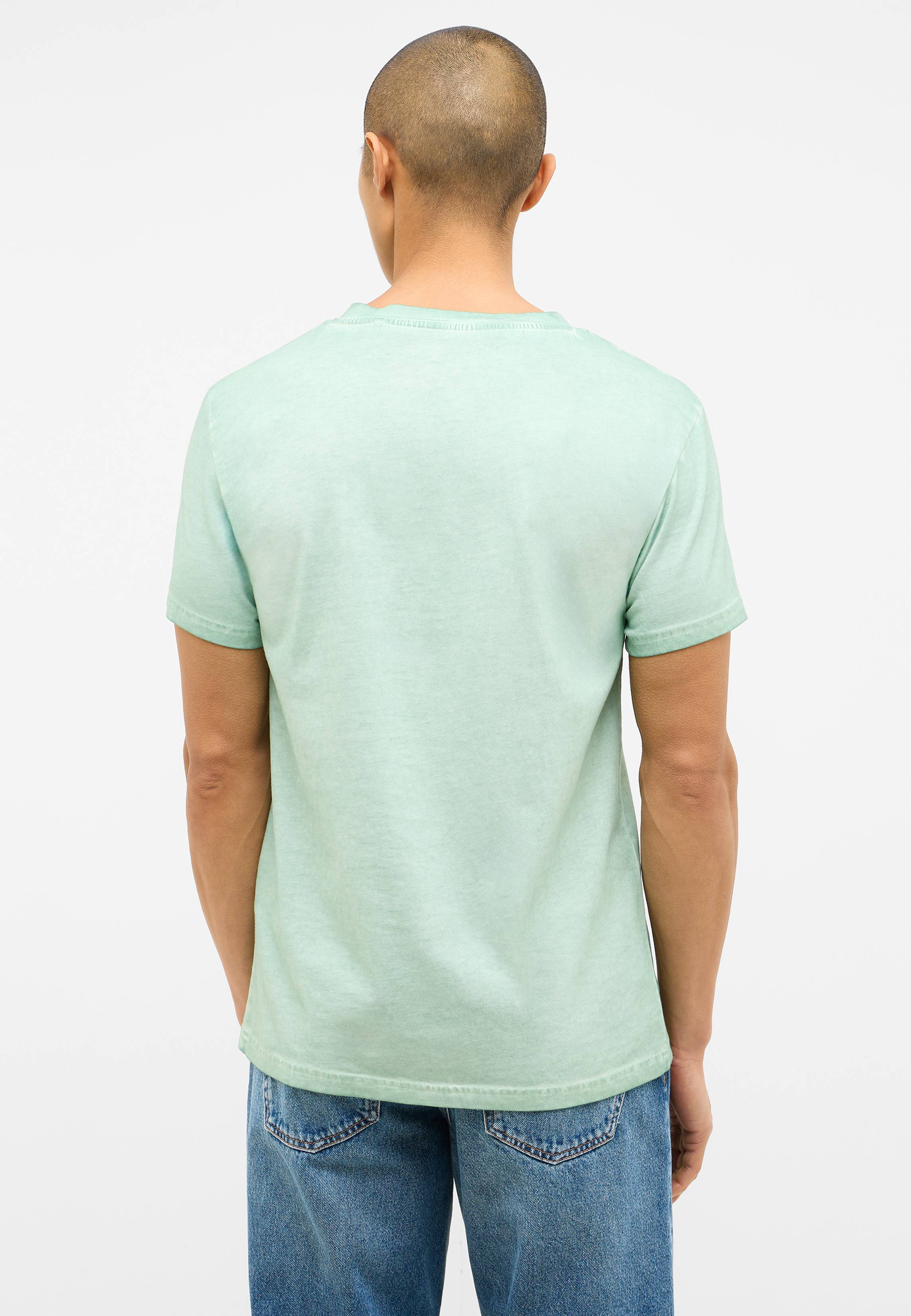 T-shirt, Erwachsener, Männlich, Mann, Person