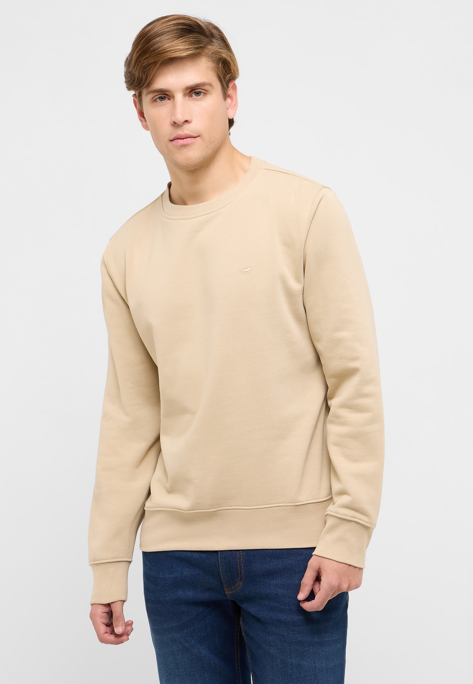 Langarm, Pullover, Sweatshirt, Mann, Person