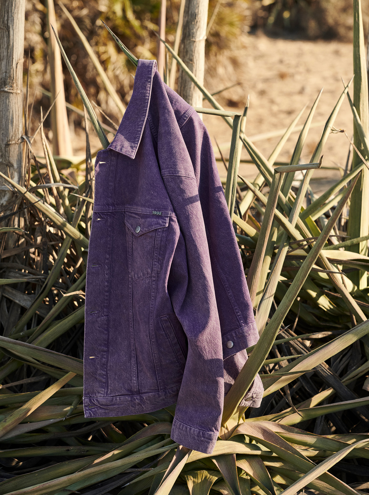 jacke, lila, denim?, cord, jeansjacke