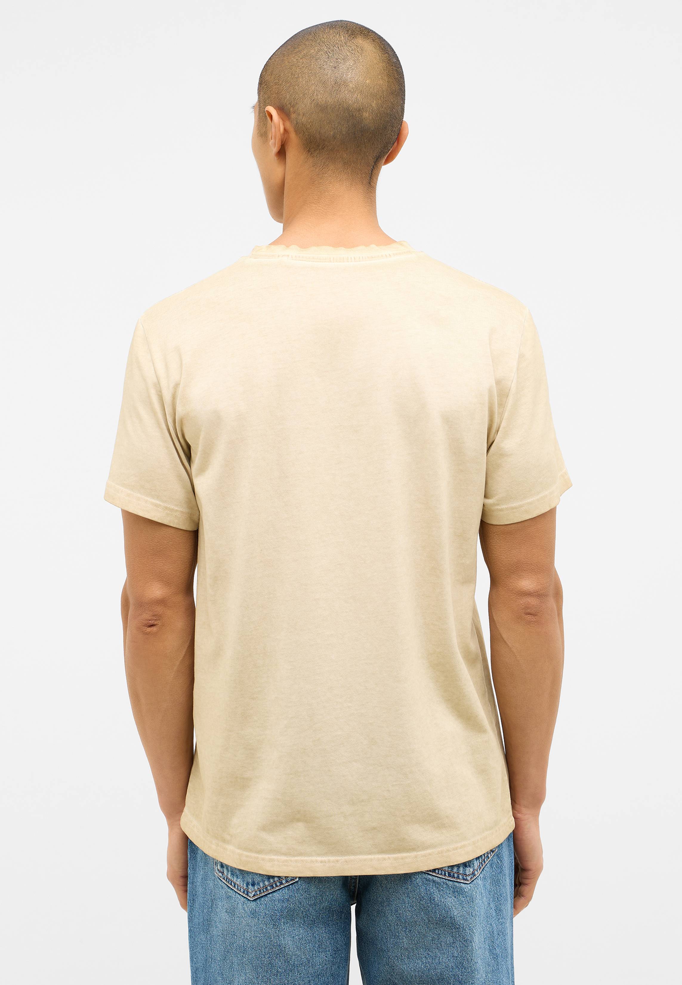 T-shirt, Erwachsener, Männlich, Mann, Person
