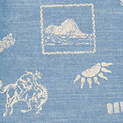 Tier, Reptil, Leben im Meer, Schildkröte