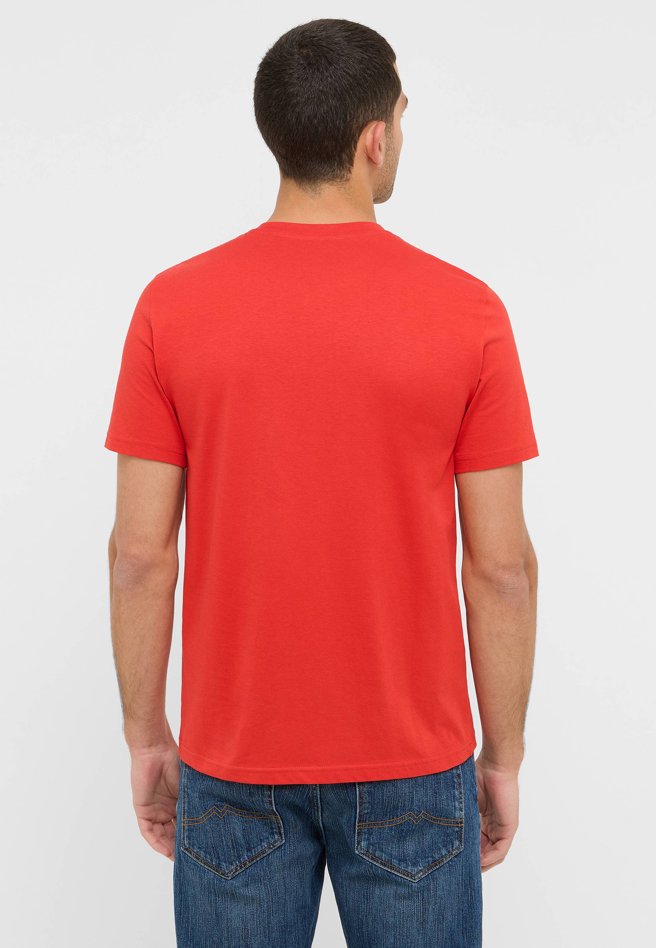 T-shirt, Erwachsener, Männlich, Mann, Person