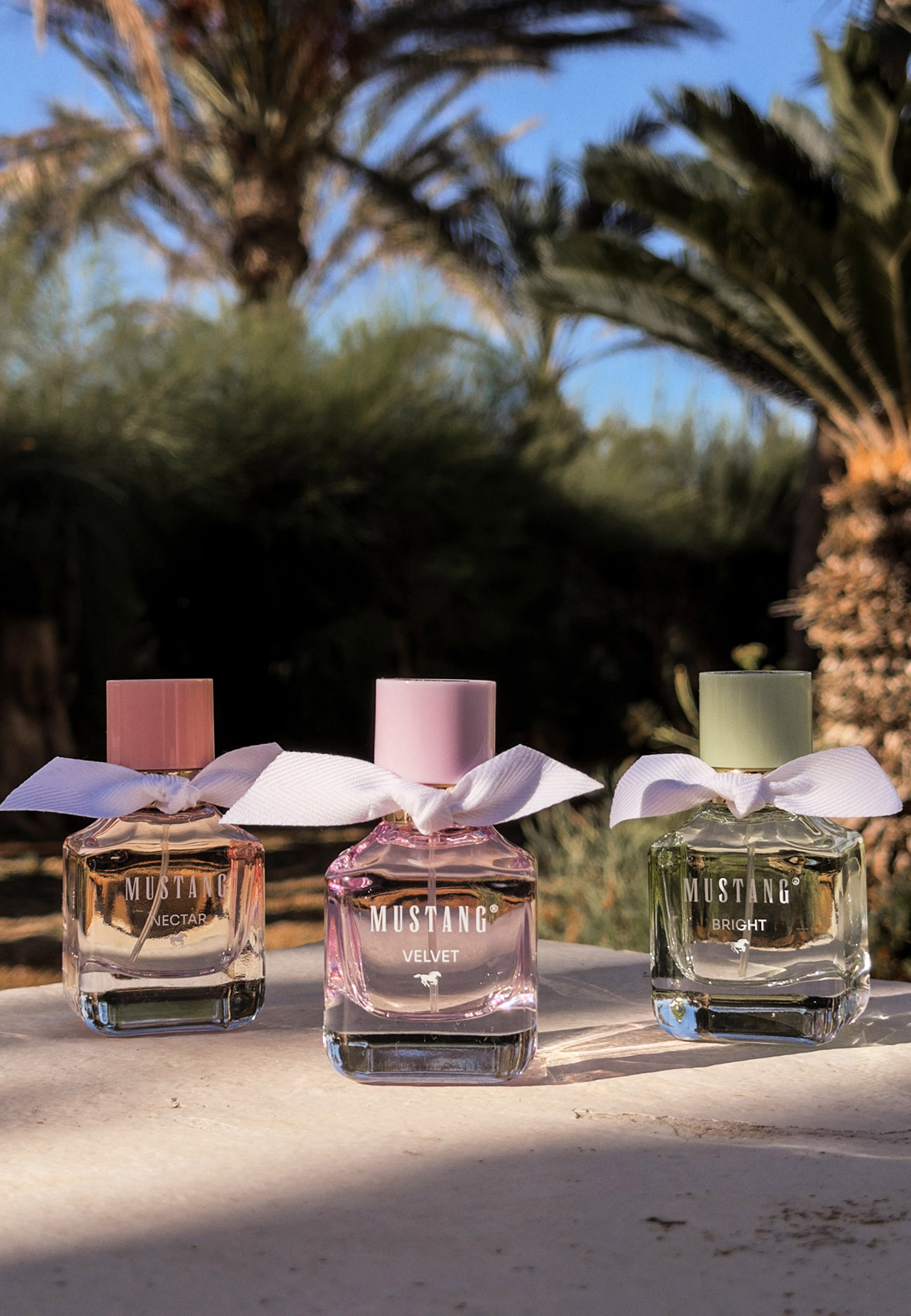 perfume, duft, flasche, glas, nische