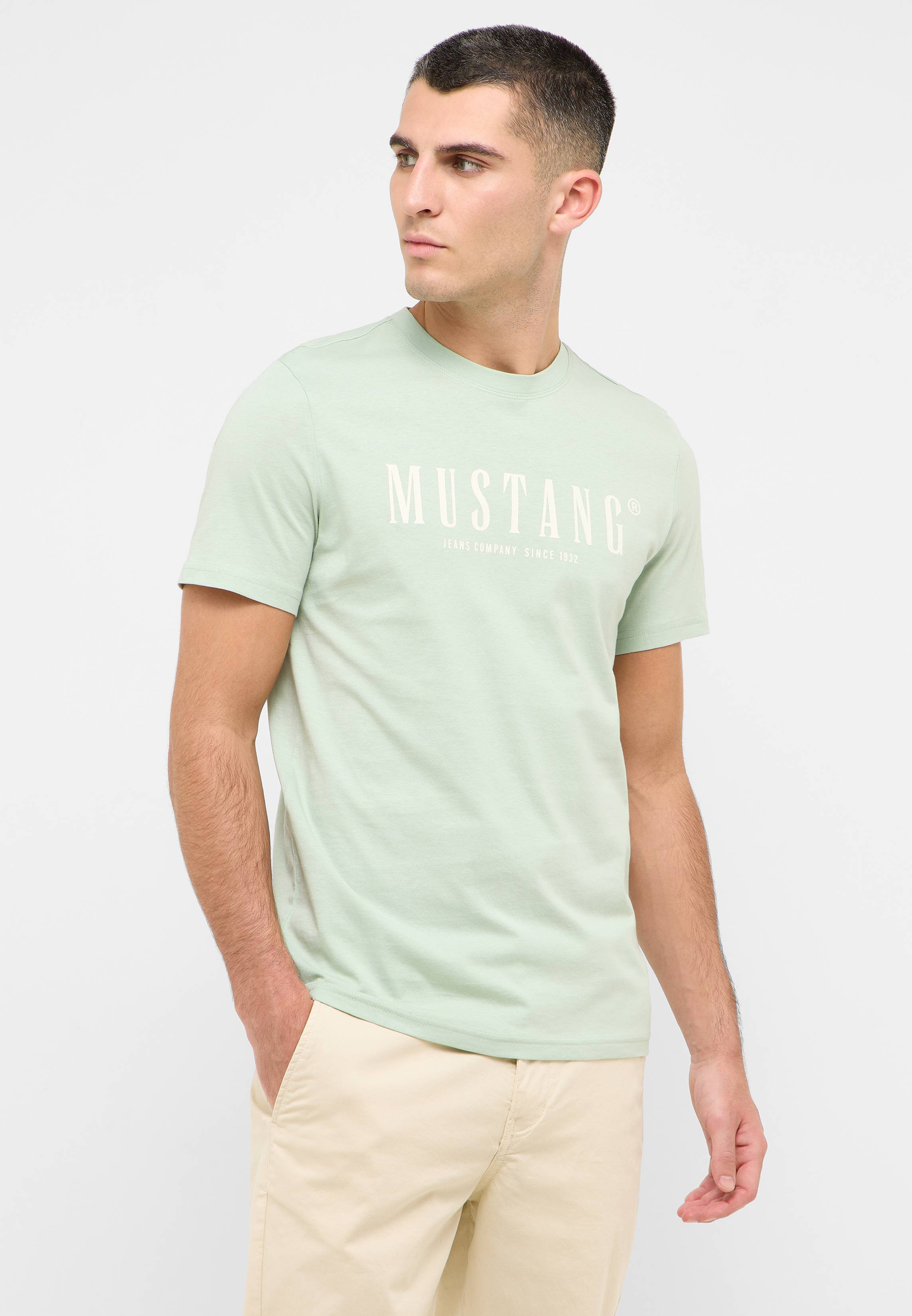 T-shirt, Hemd, Erwachsener, Mann, Person