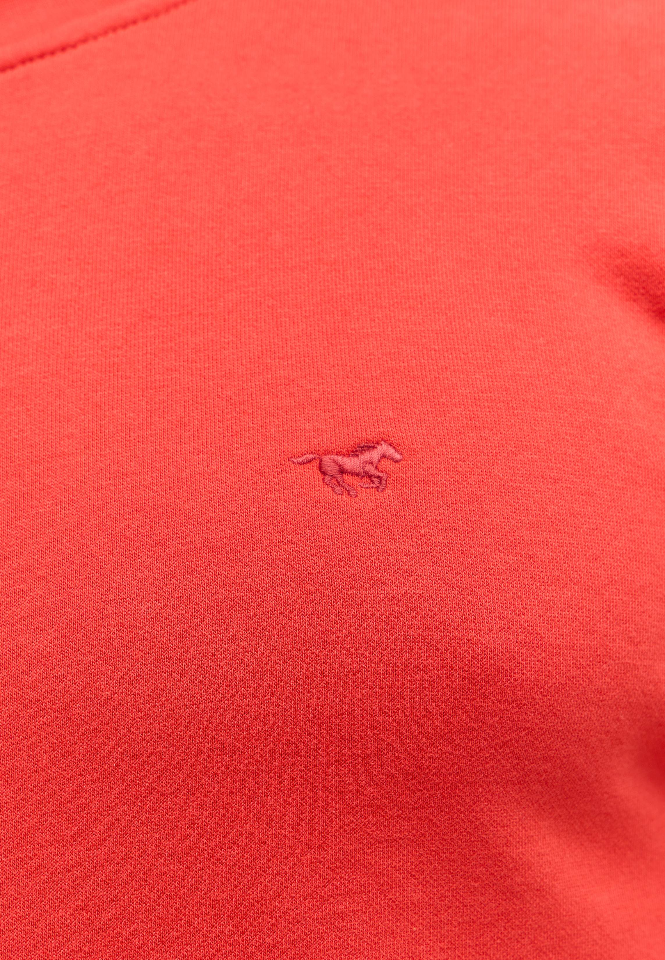 Tier, Dinosaurier, Reptil