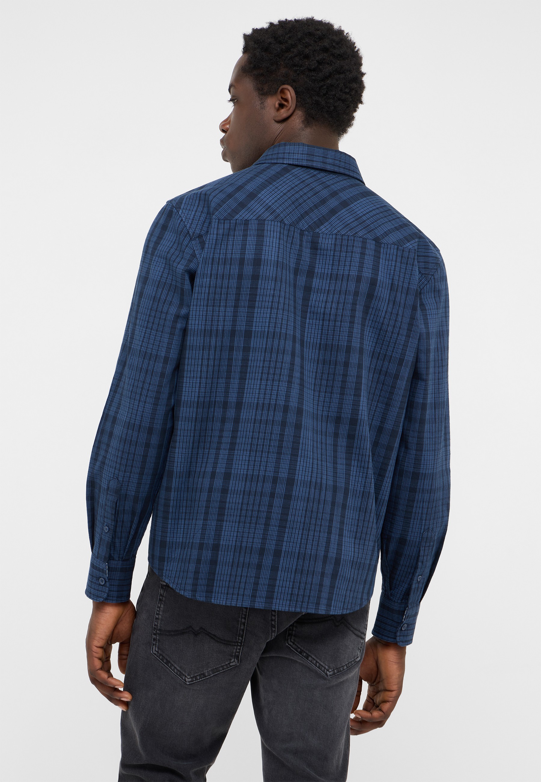plaid, blau, langarm, hemd, rückseite