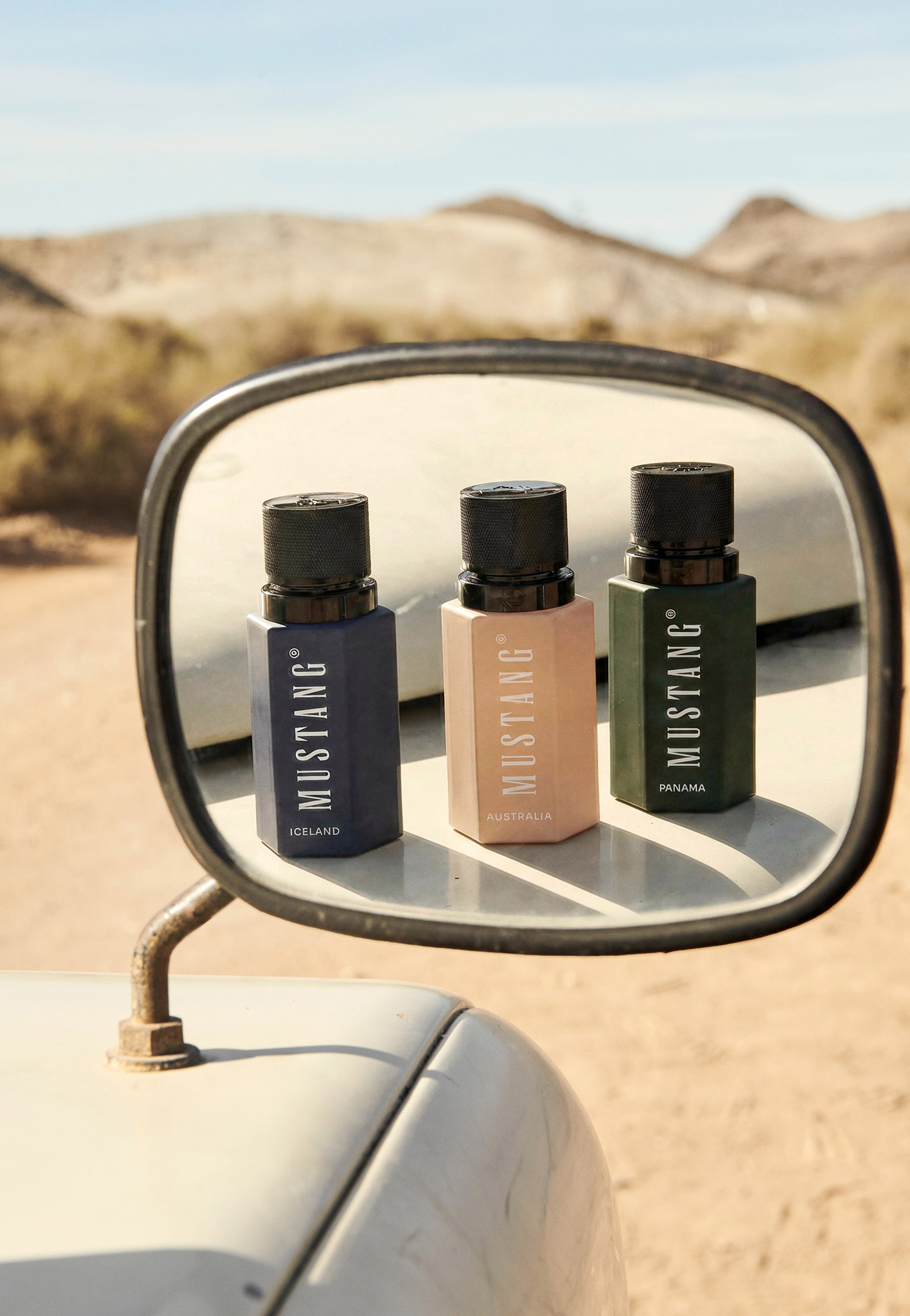 mustang, flaschen, spiegel, auto seite, reiseset