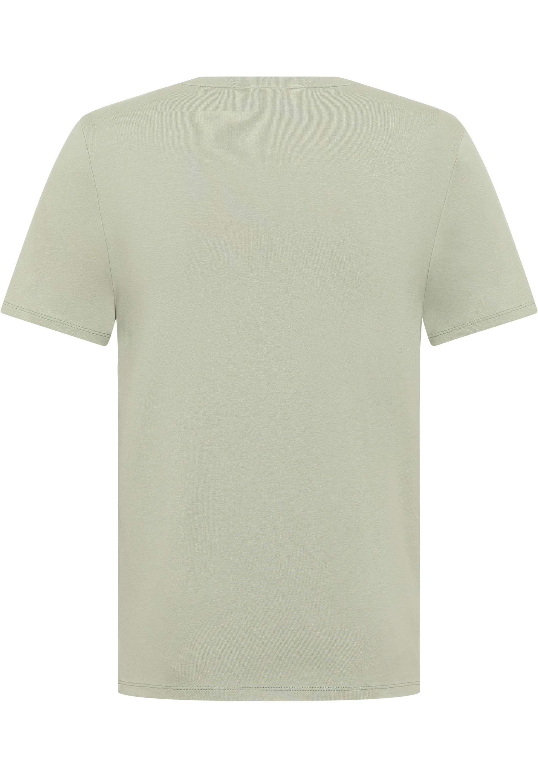 t-shirt, kurzarm, unifarben, hellgrün, baumwolljersey