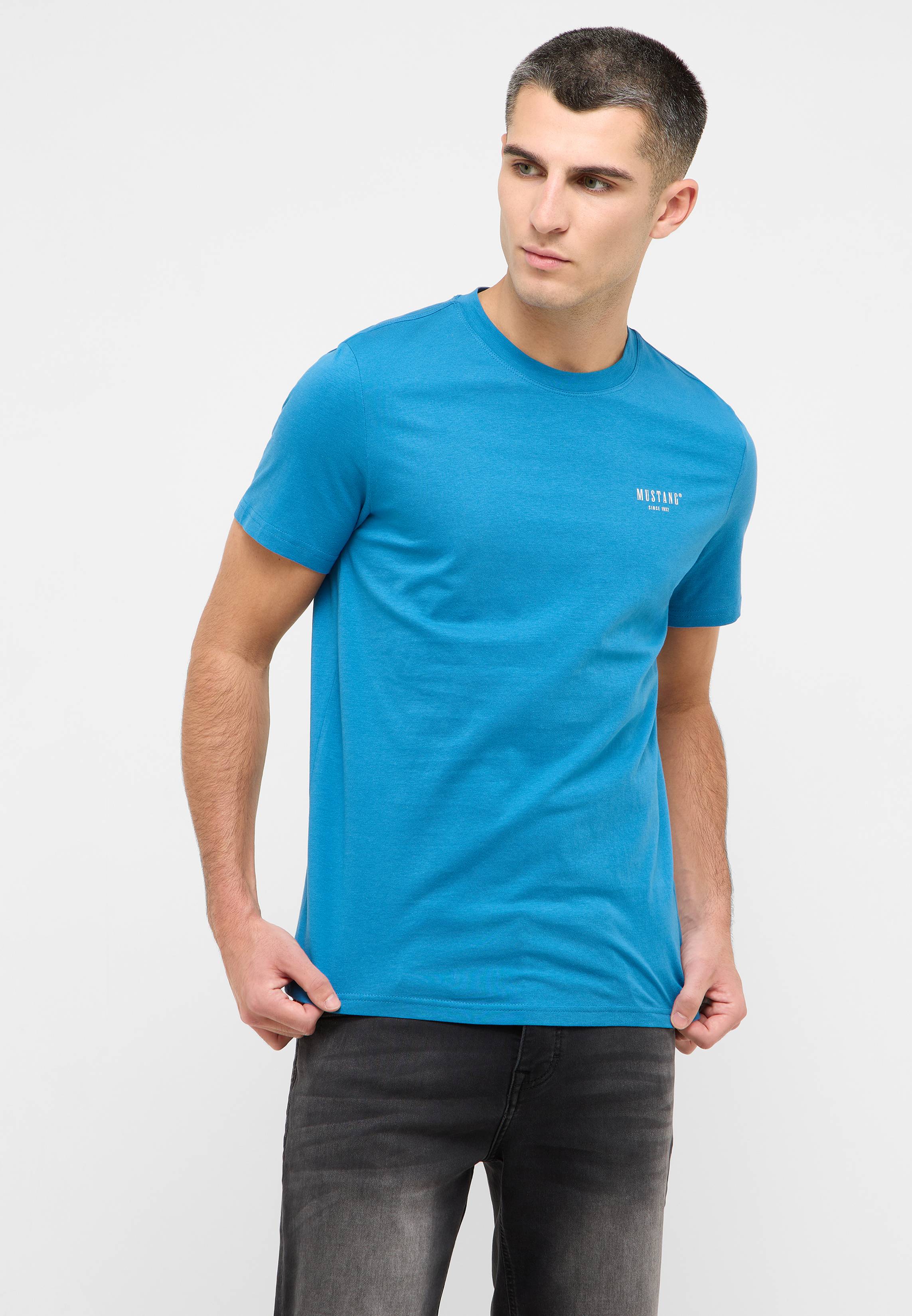 T-shirt, Erwachsener, Männlich, Mann, Person