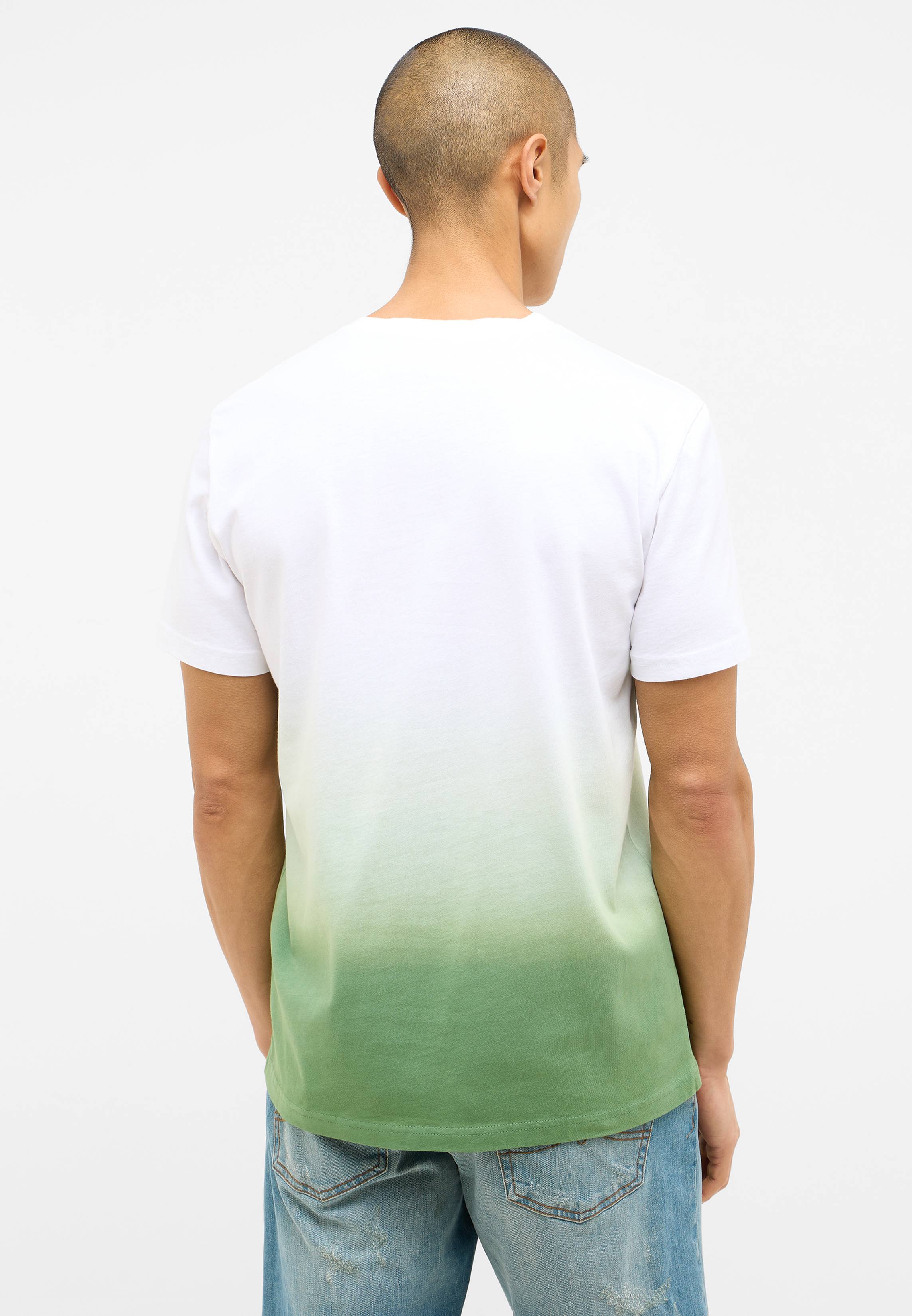 T-shirt, Erwachsener, Männlich, Mann, Person