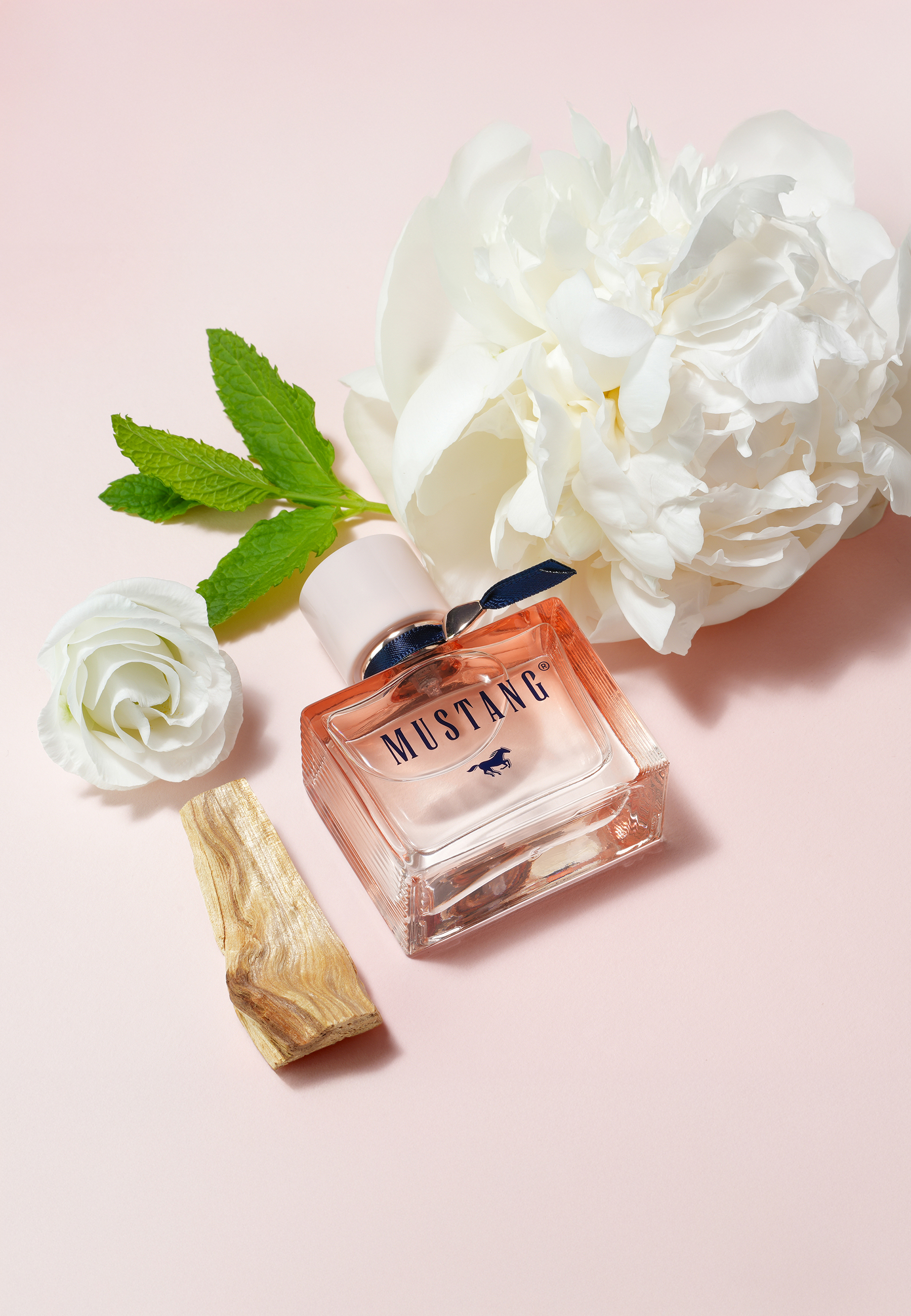 Flasche, Rose, Blütenblatt, Kosmetik, Parfüm