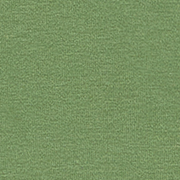 rosa-8143