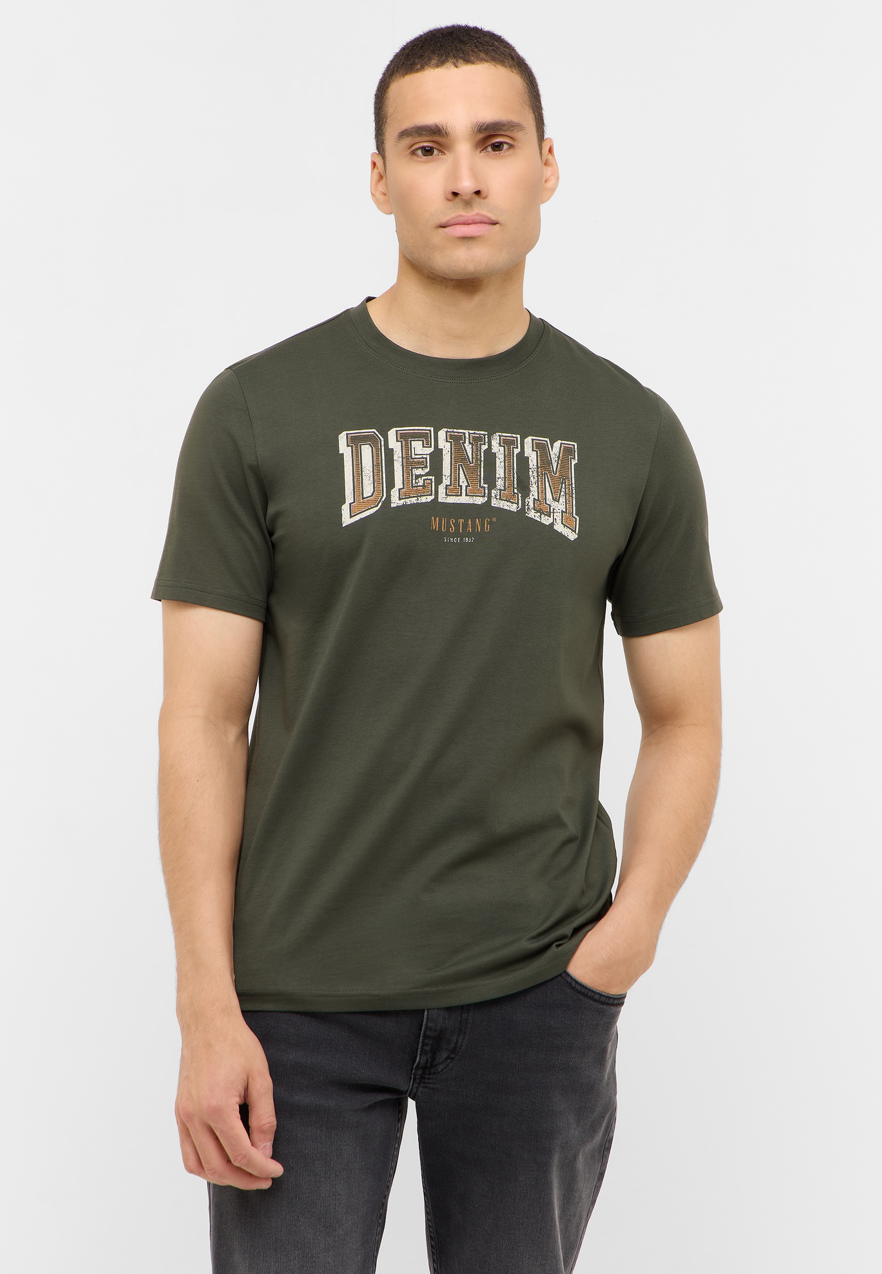 T-shirt, Hemd, Erwachsener, Mann, Person