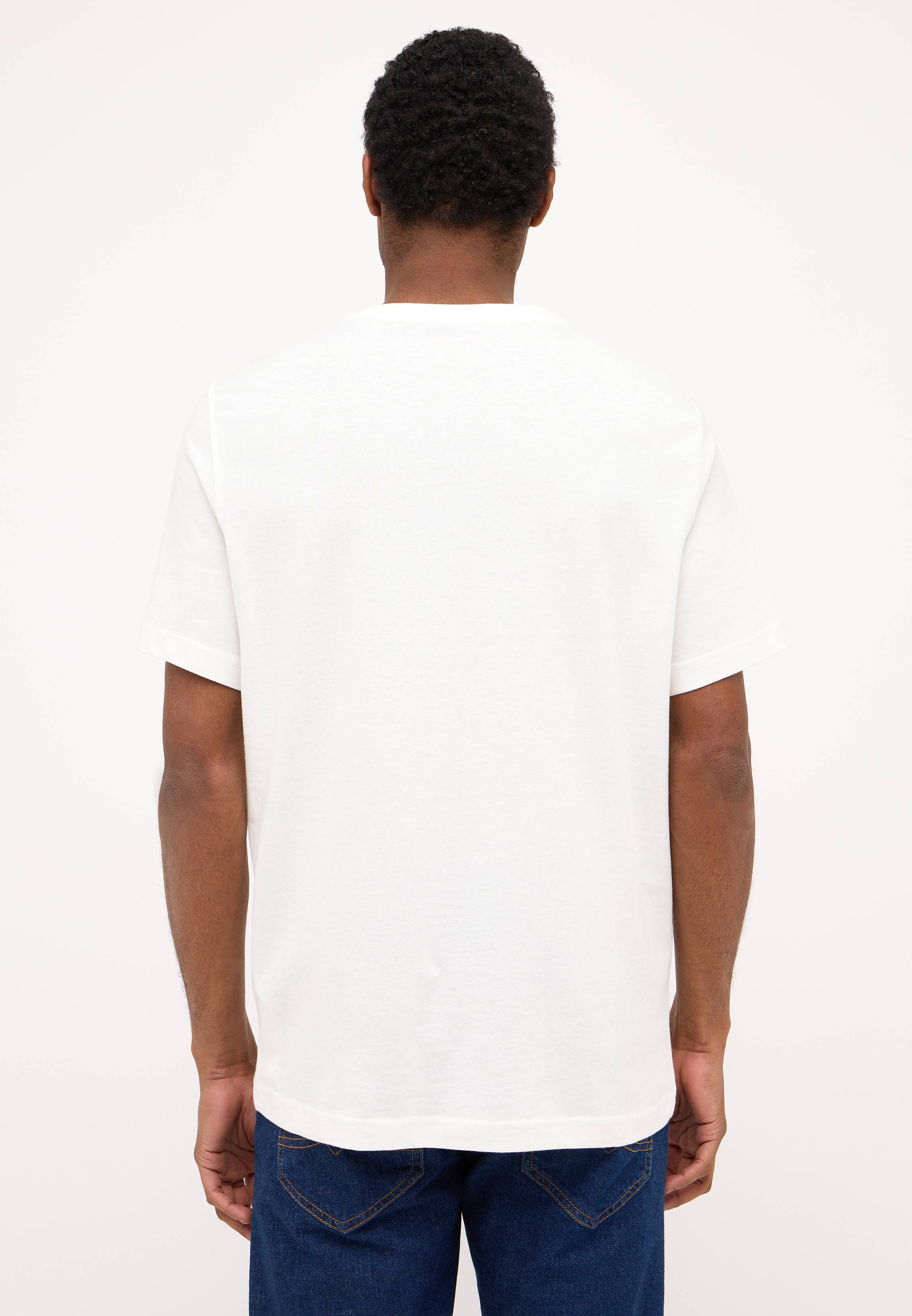 T-shirt, Erwachsener, Männlich, Mann, Person